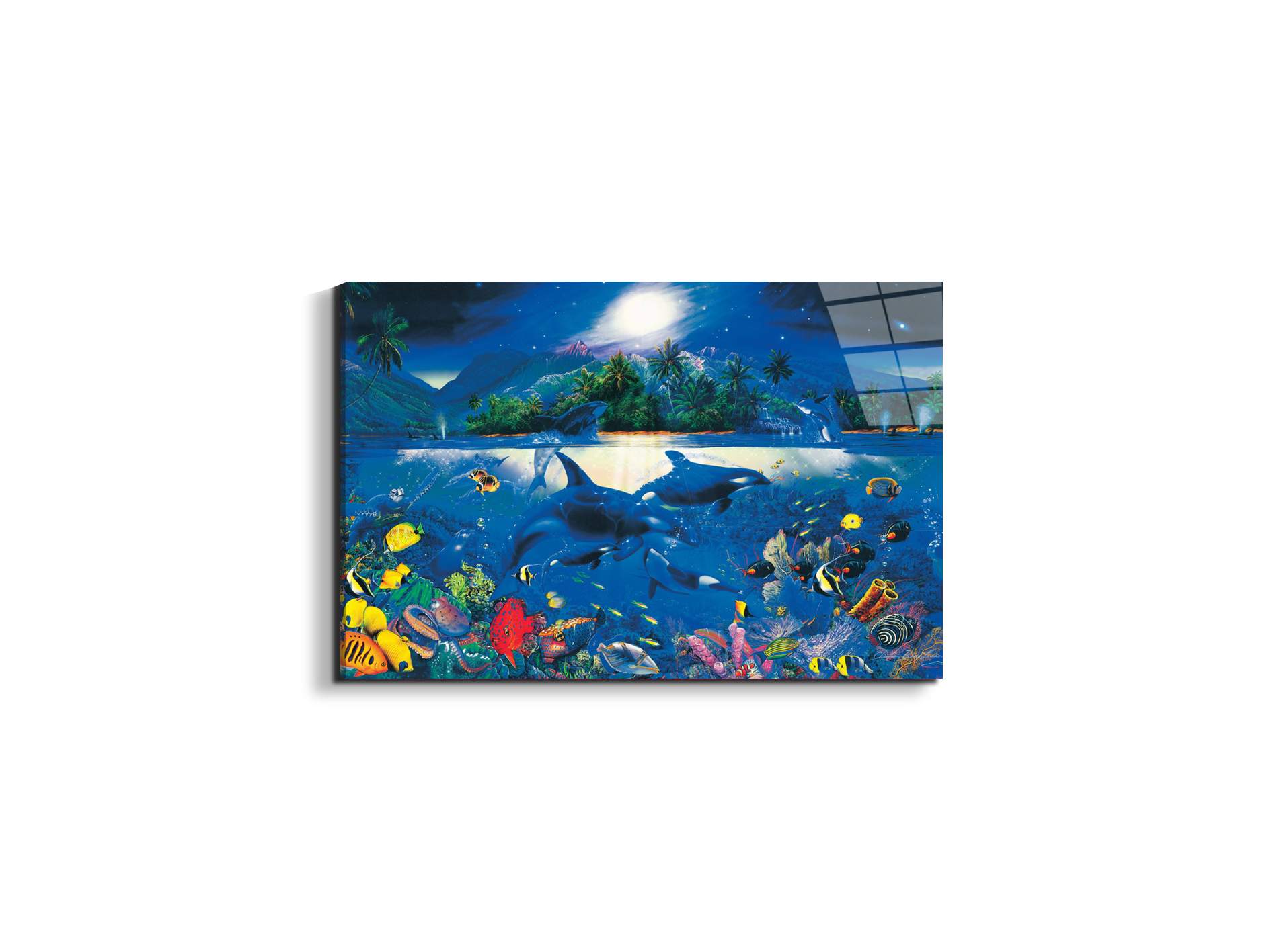 magic-kingdomec22192-#materiale_EarthArt Total Gloss/dimensioni_50x33,33