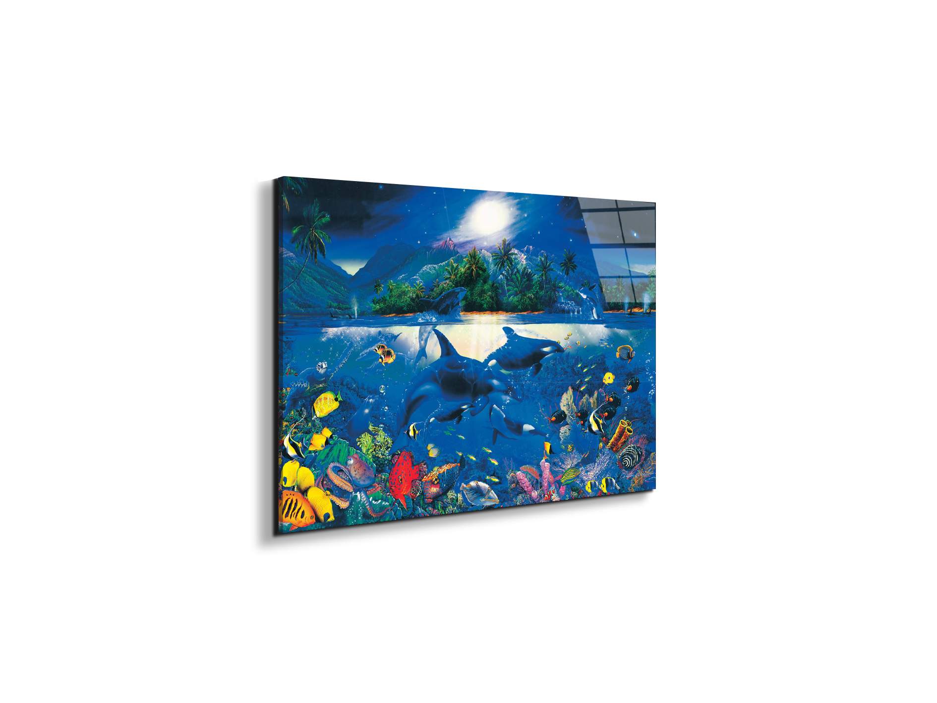 magic-kingdomec22192-#materiale_EarthArt Total Gloss/dimensioni_50x33,33