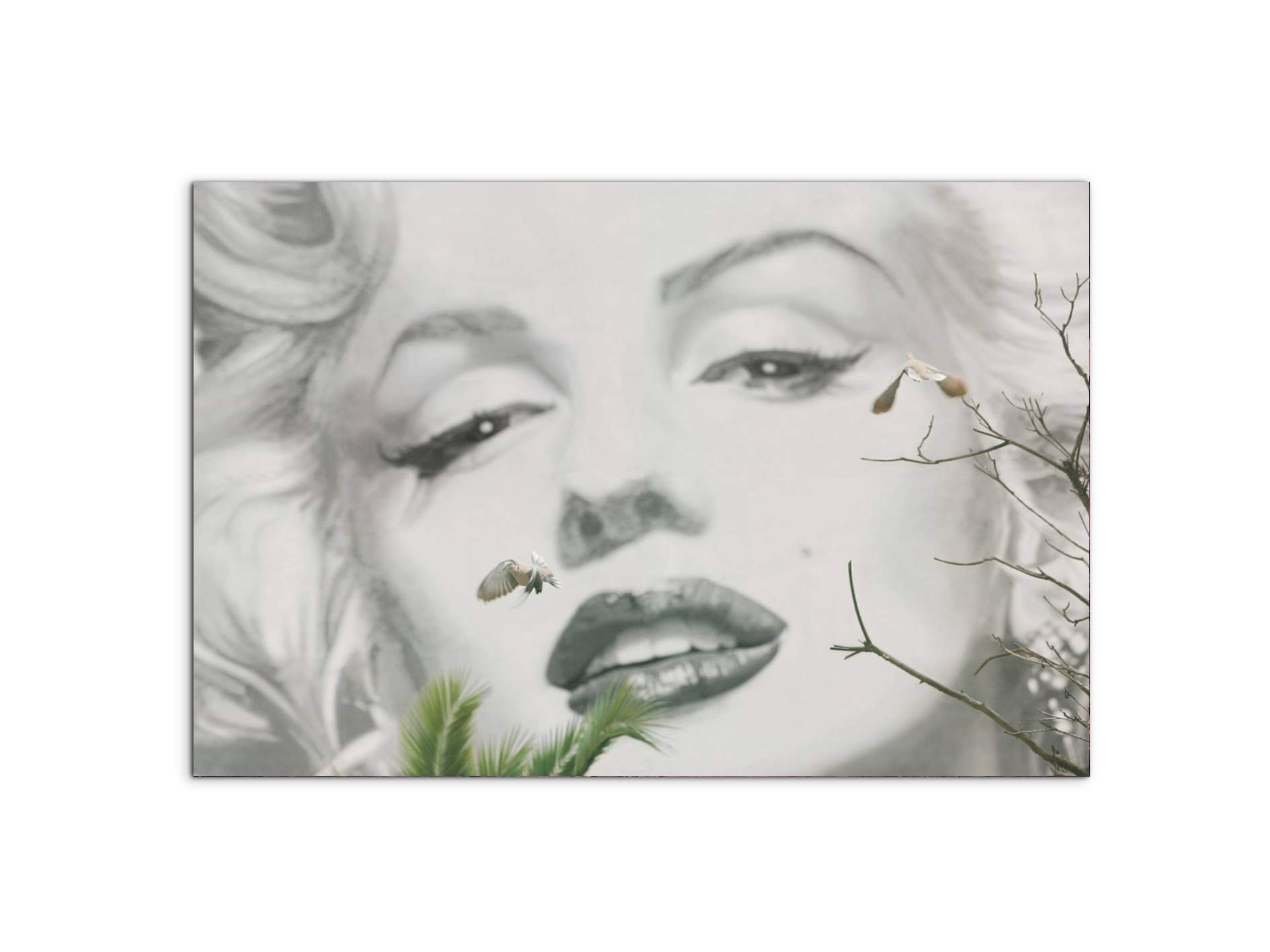 homage-to-marilyn-2ec22202-