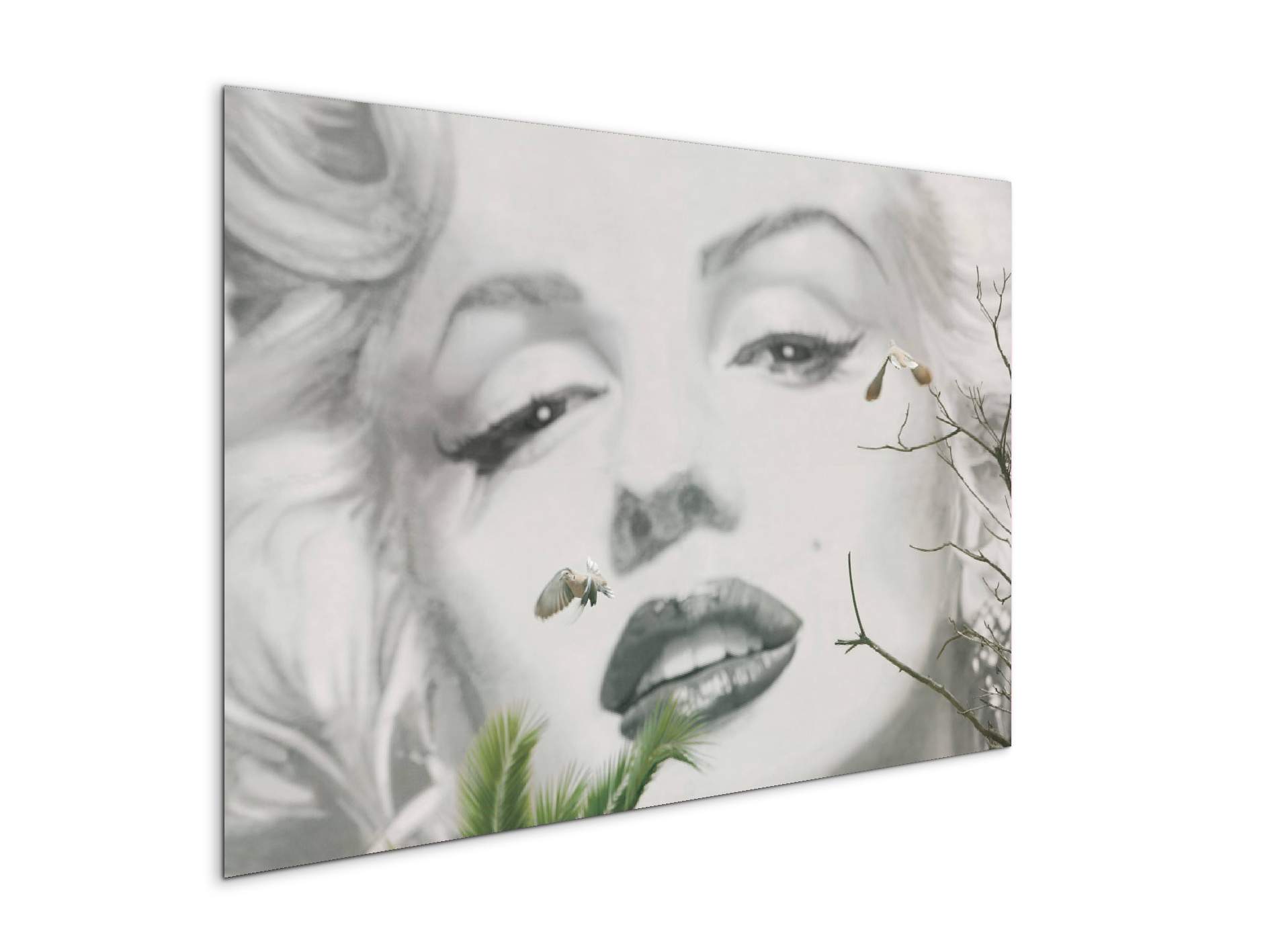 homage-to-marilyn-2ec22202-