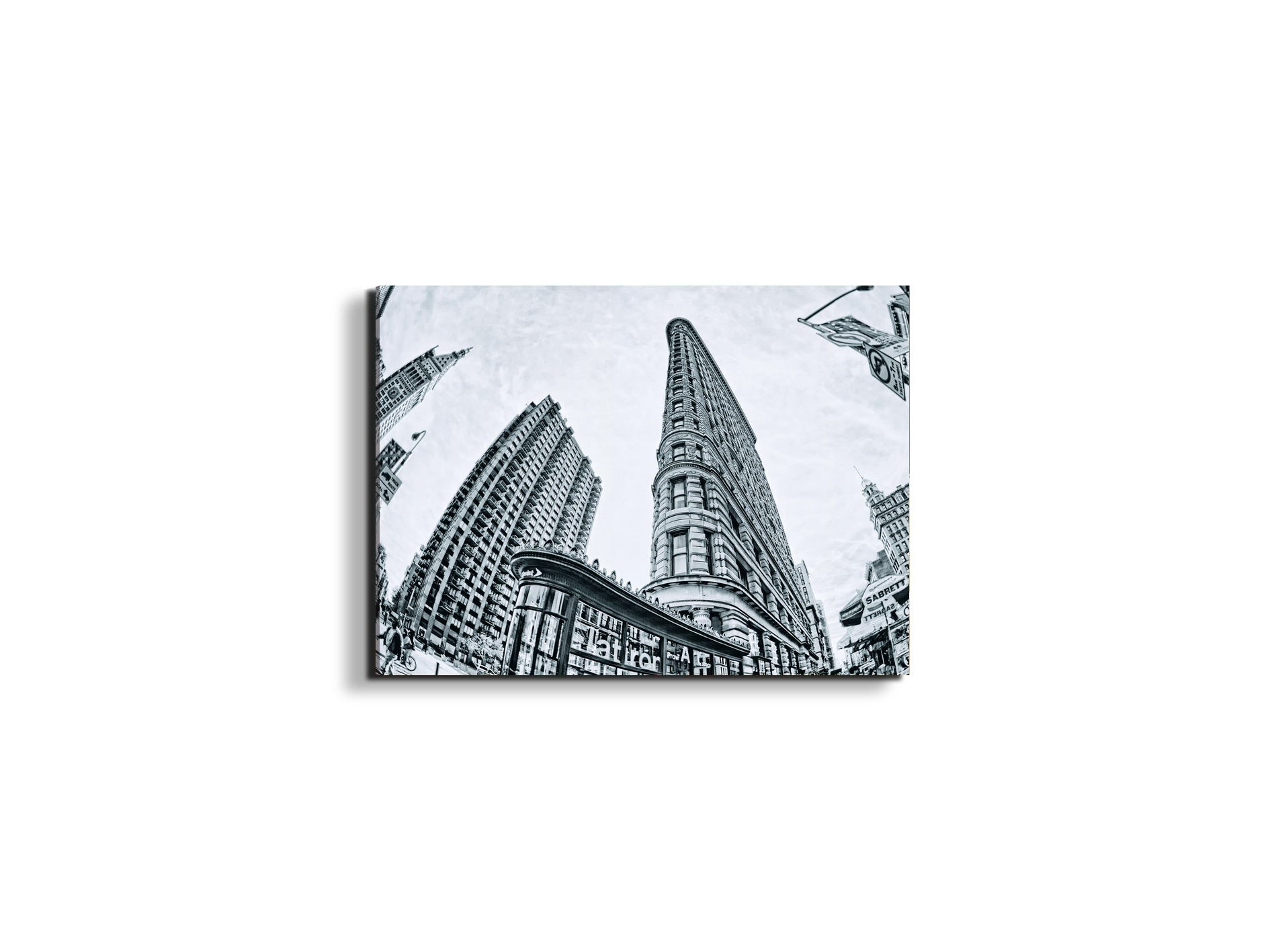 flat-iron-fish-eyeec22268-