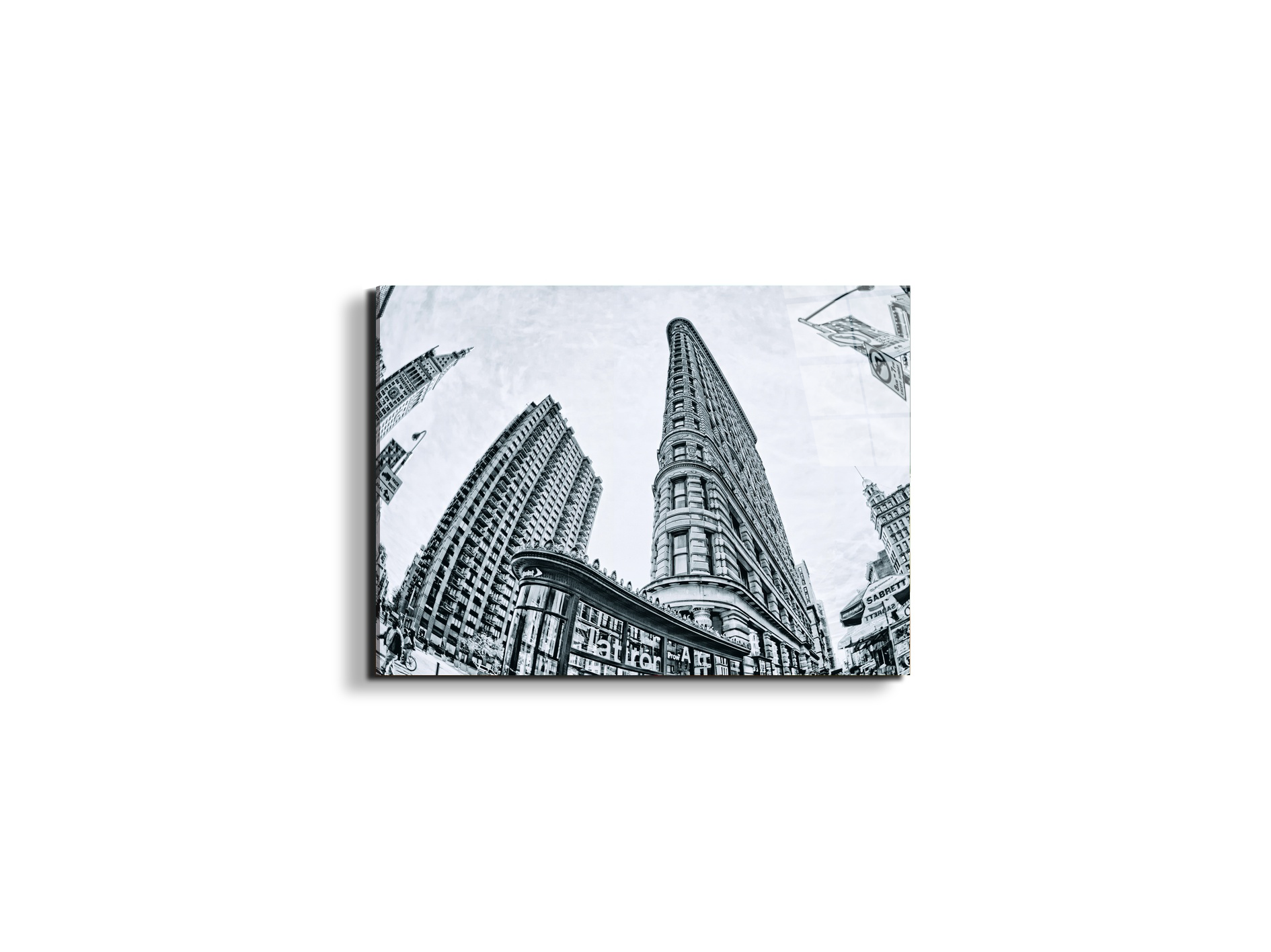 flat-iron-fish-eyeec22268-