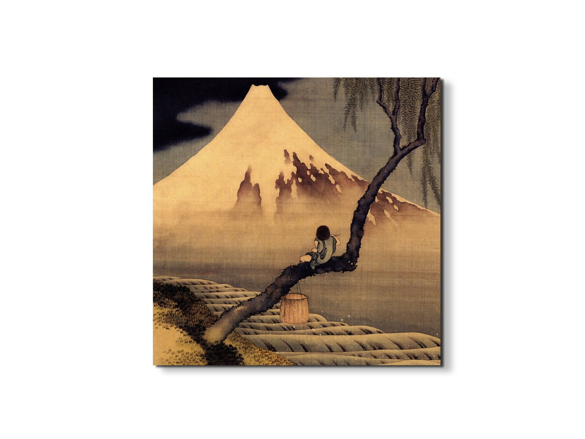 boy-in-front-of-fujiamaas90025-#materiale_EarthArt/dimensioni_58x58