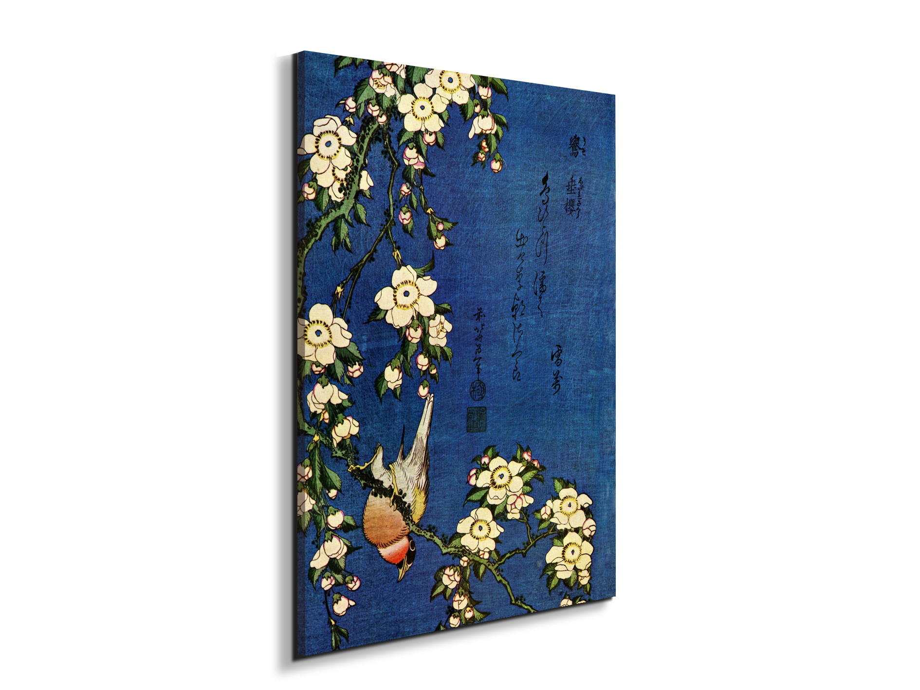bullfinch-and-drooping-cherryas90029-