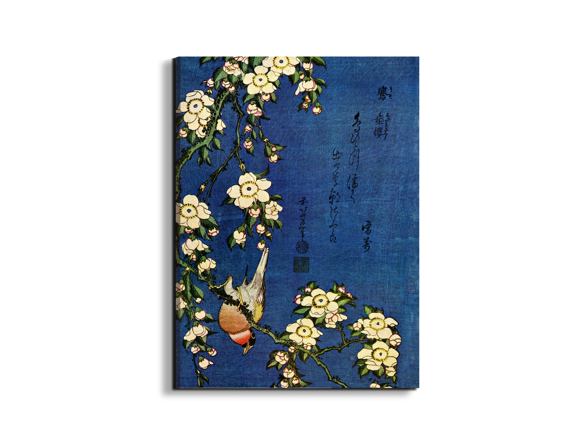 bullfinch-and-drooping-cherryas90029-#materiale_EarthArt/dimensioni_57x76