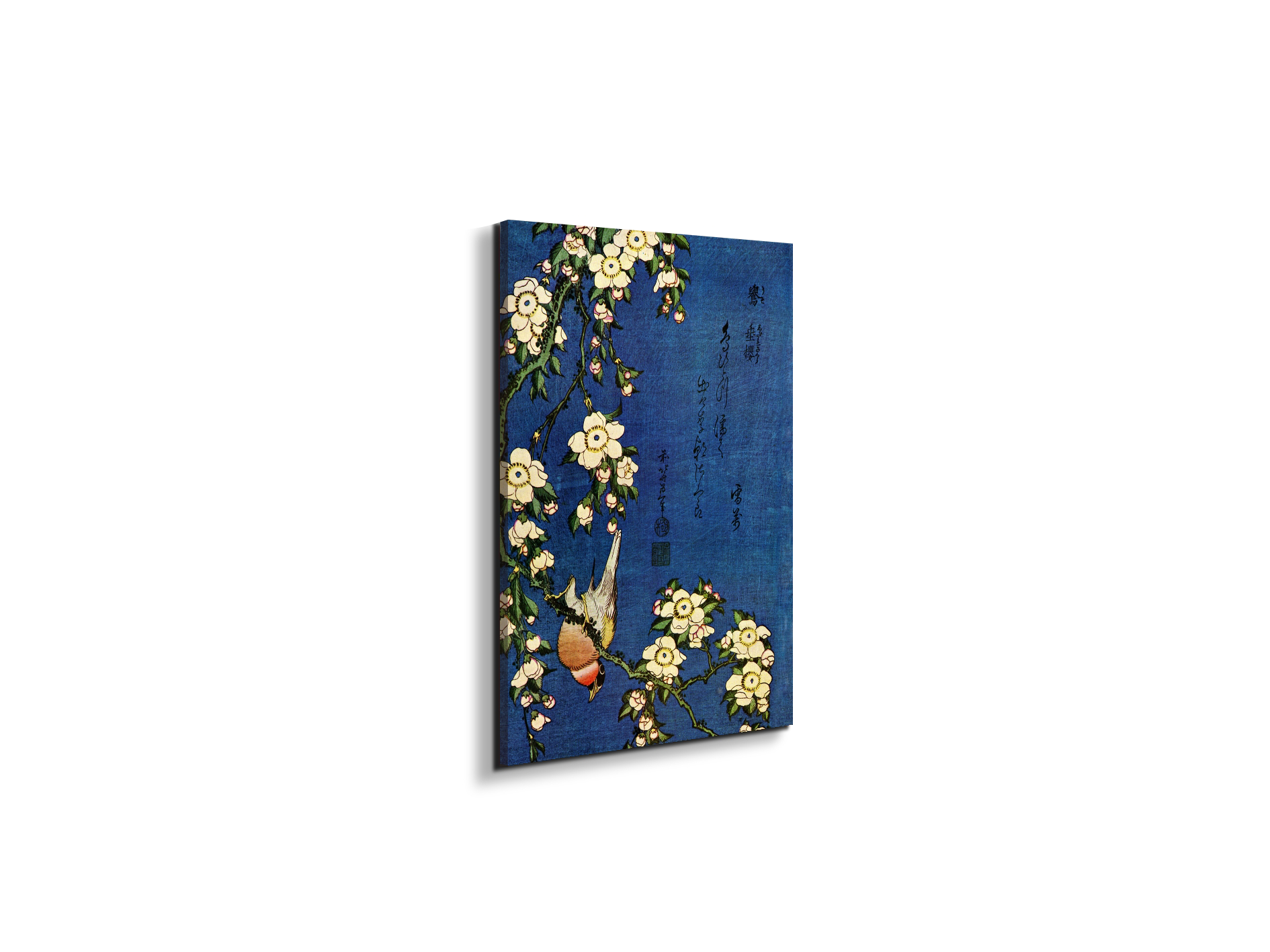 bullfinch-and-drooping-cherryas90029-