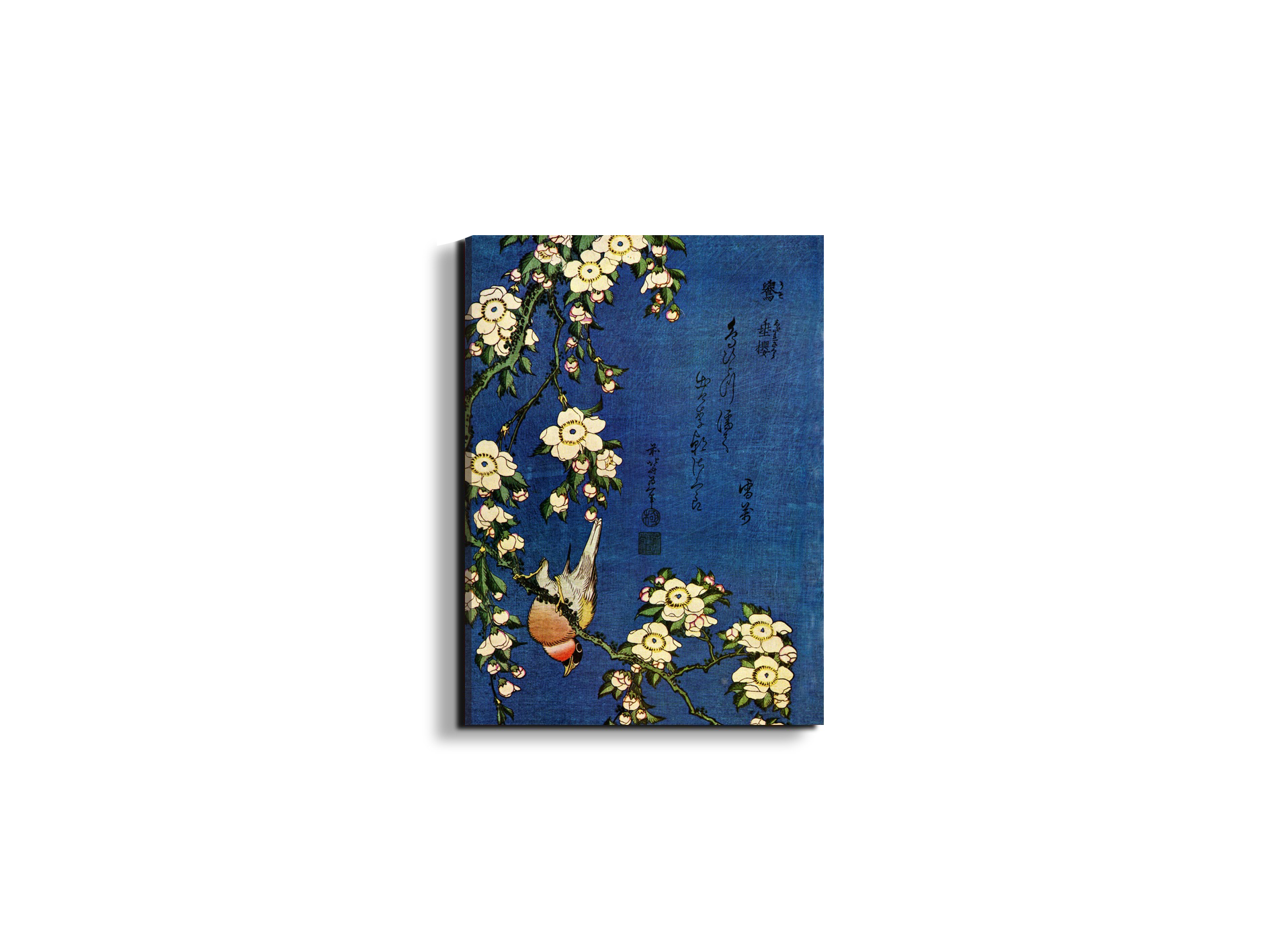 bullfinch-and-drooping-cherryas90029-