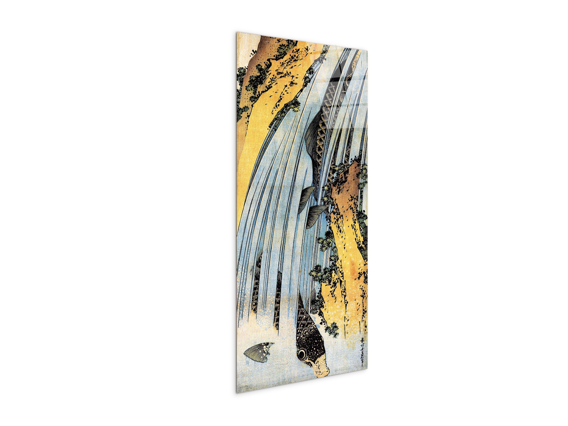 carps-ascending-waterfallas90031-