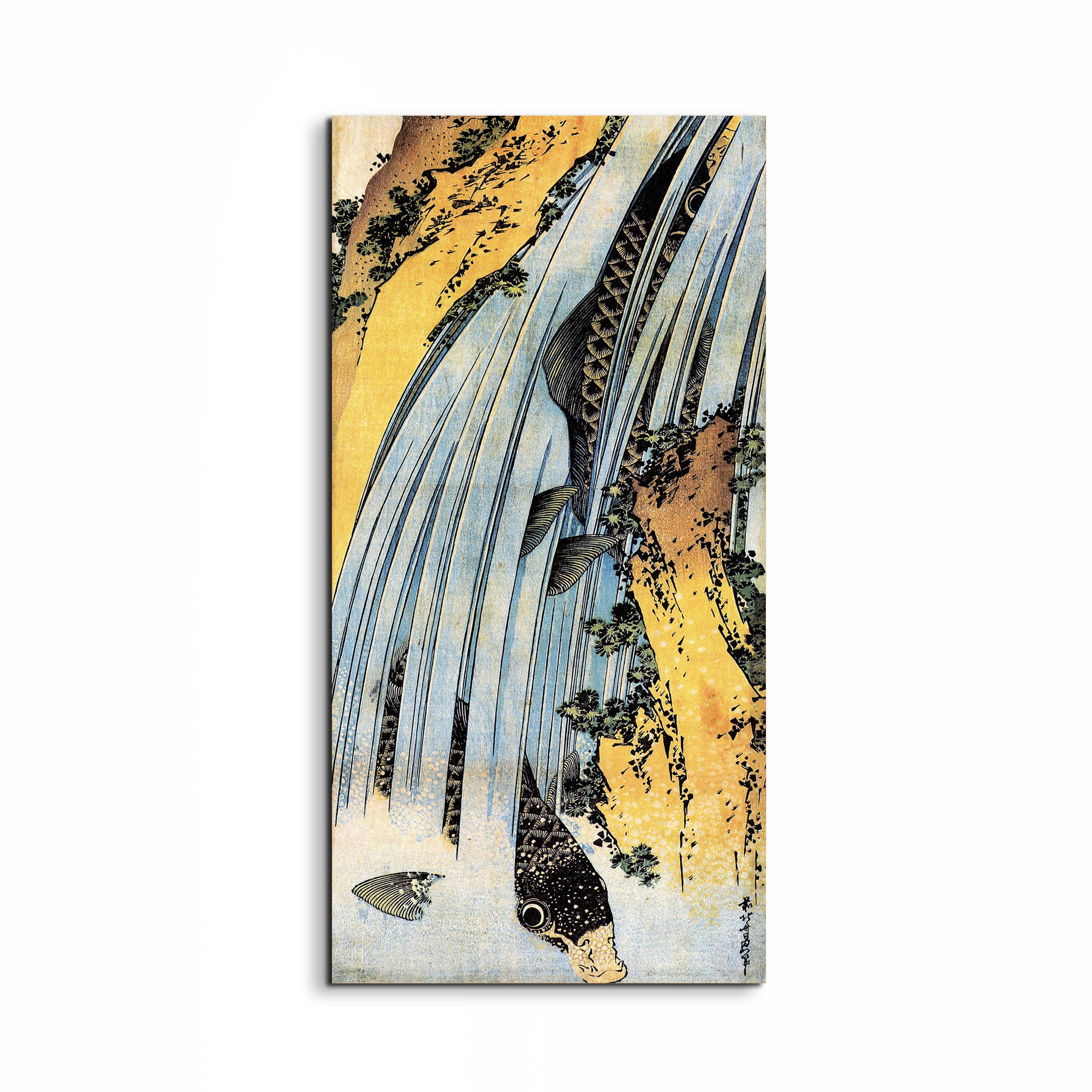 carps-ascending-waterfallas90031-#materiale_EarthArt/dimensioni_50x100
