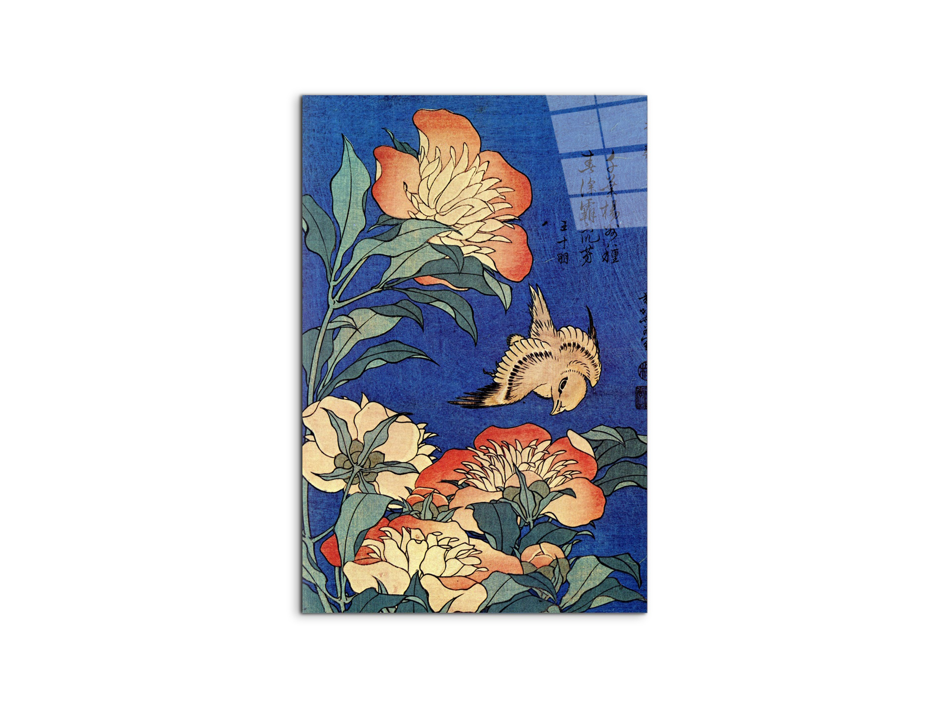 #materiale_CrystalArt/dimensioni_53x79,5