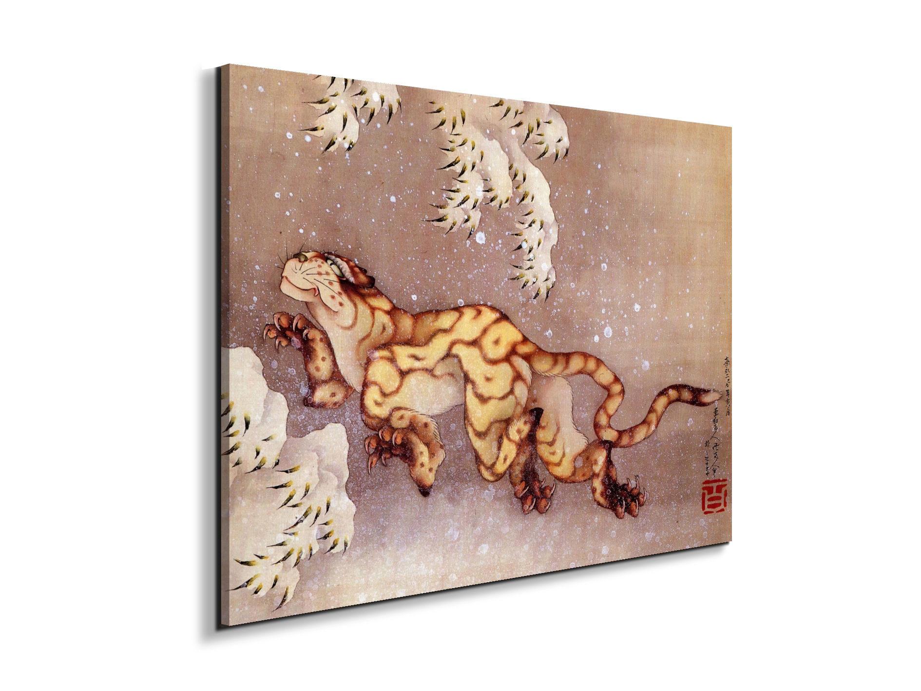 tiger-in-the-snowas90173-