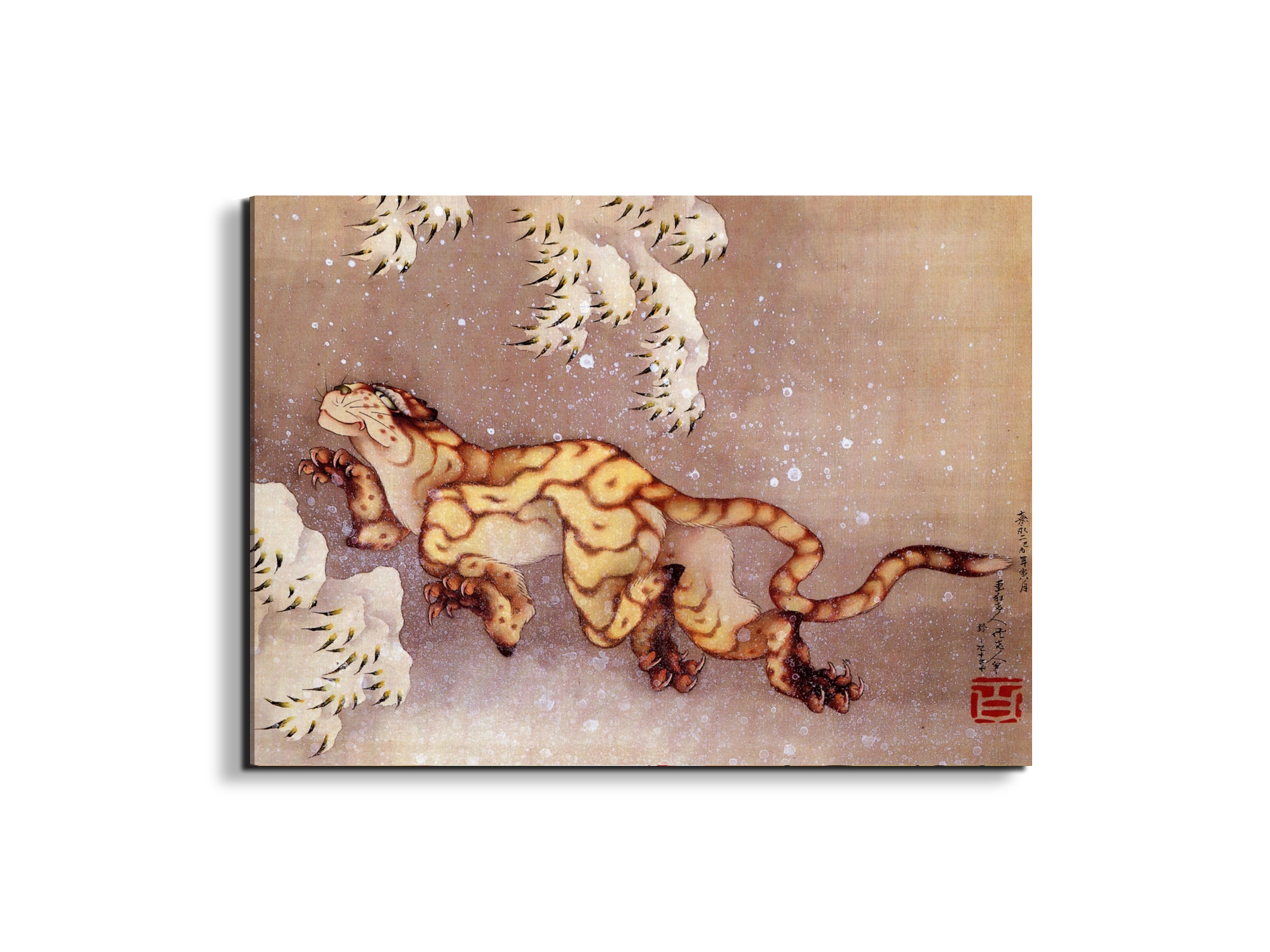 tiger-in-the-snowas90173-