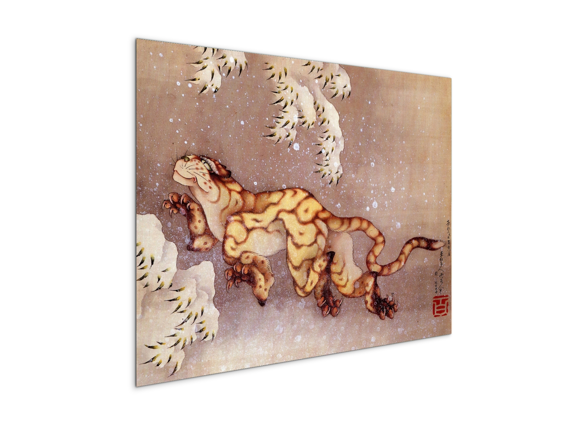 tiger-in-the-snowas90173-