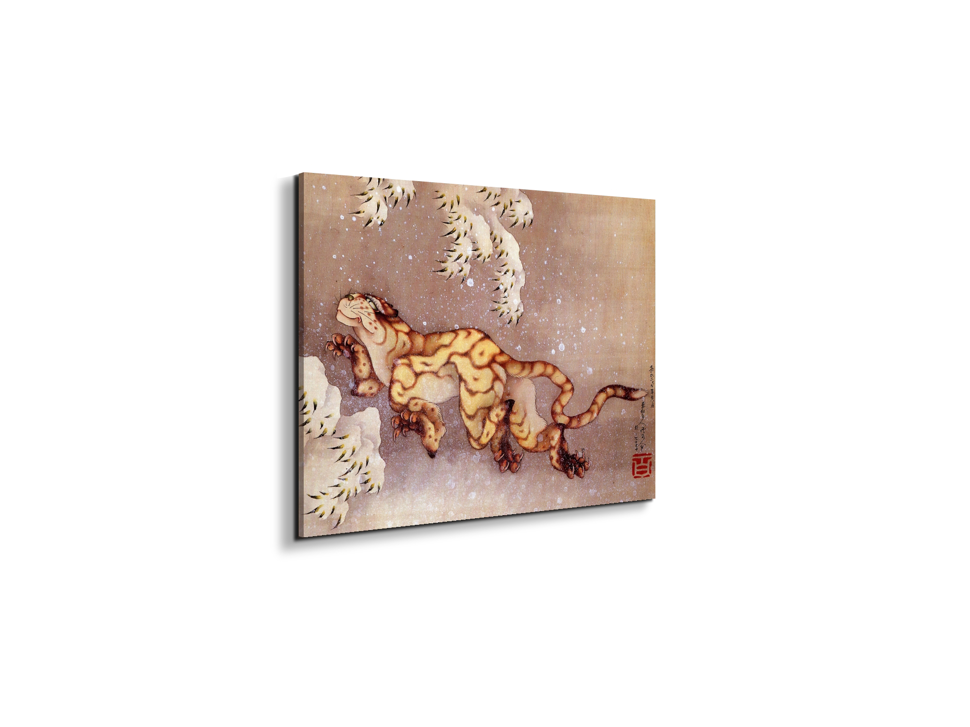 tiger-in-the-snowas90173-