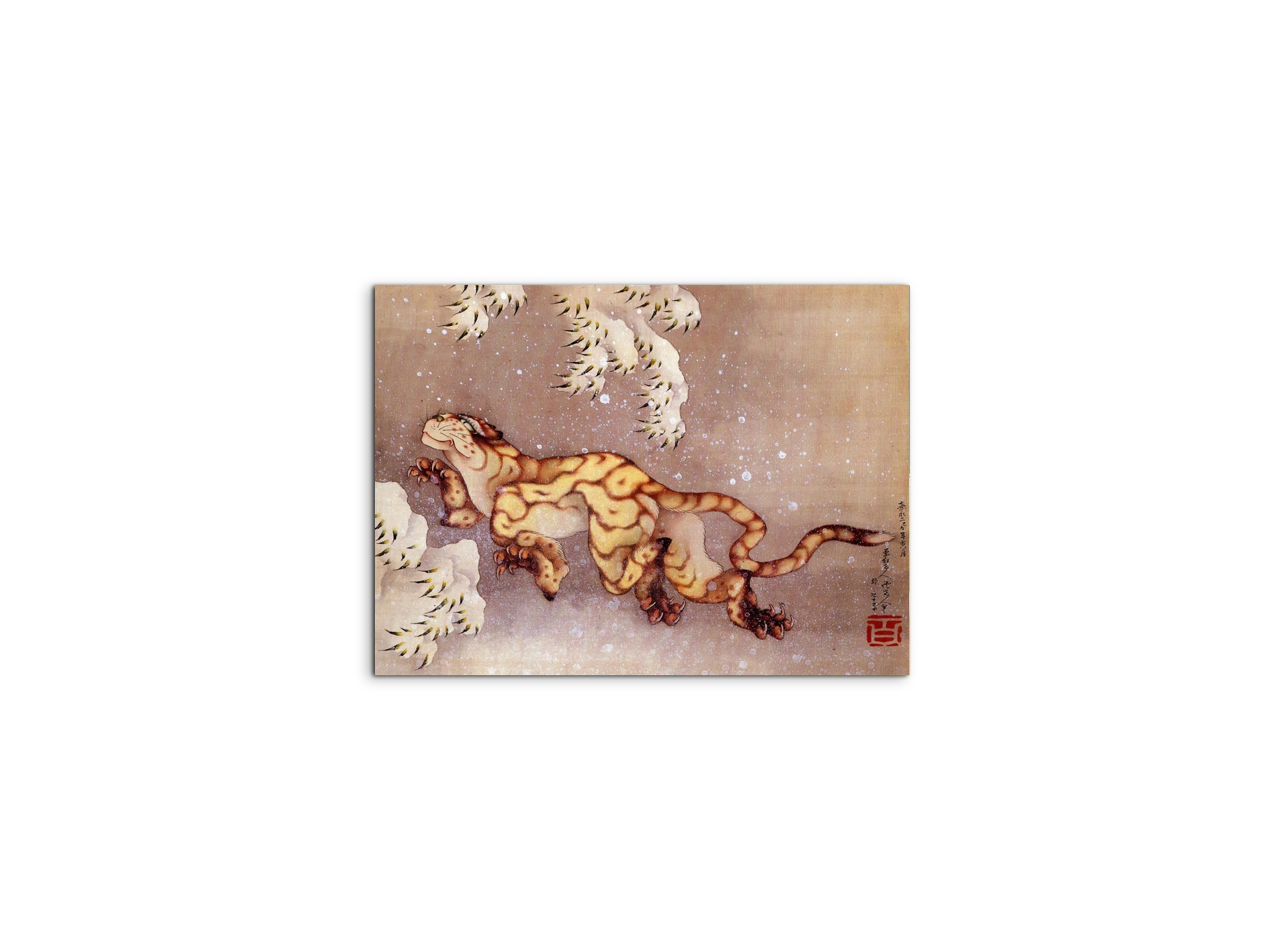 tiger-in-the-snowas90173-
