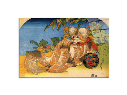 tschin-the-pet-dogas90179-