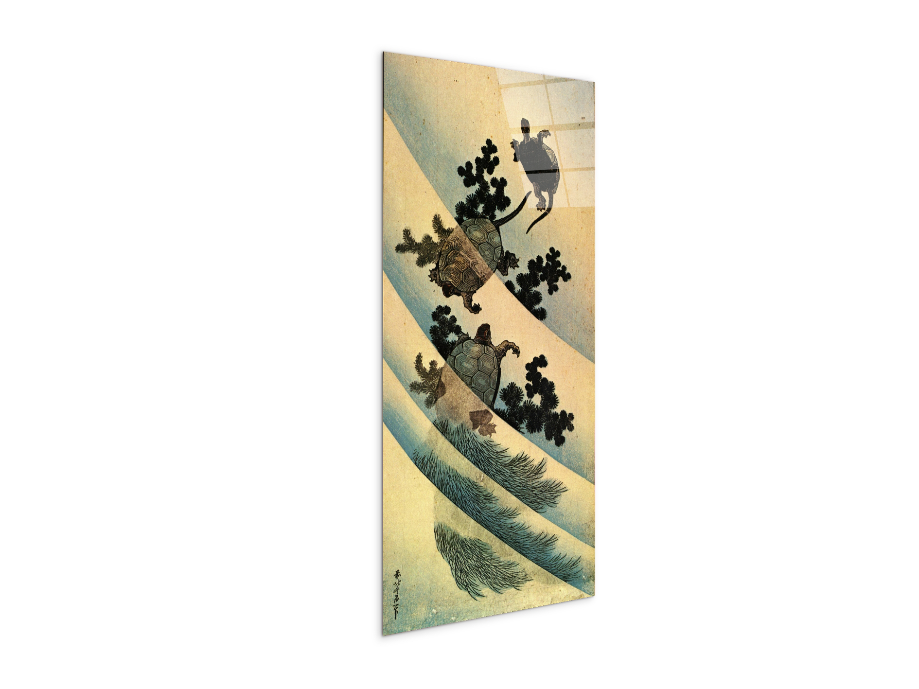 turtlesas90181-
