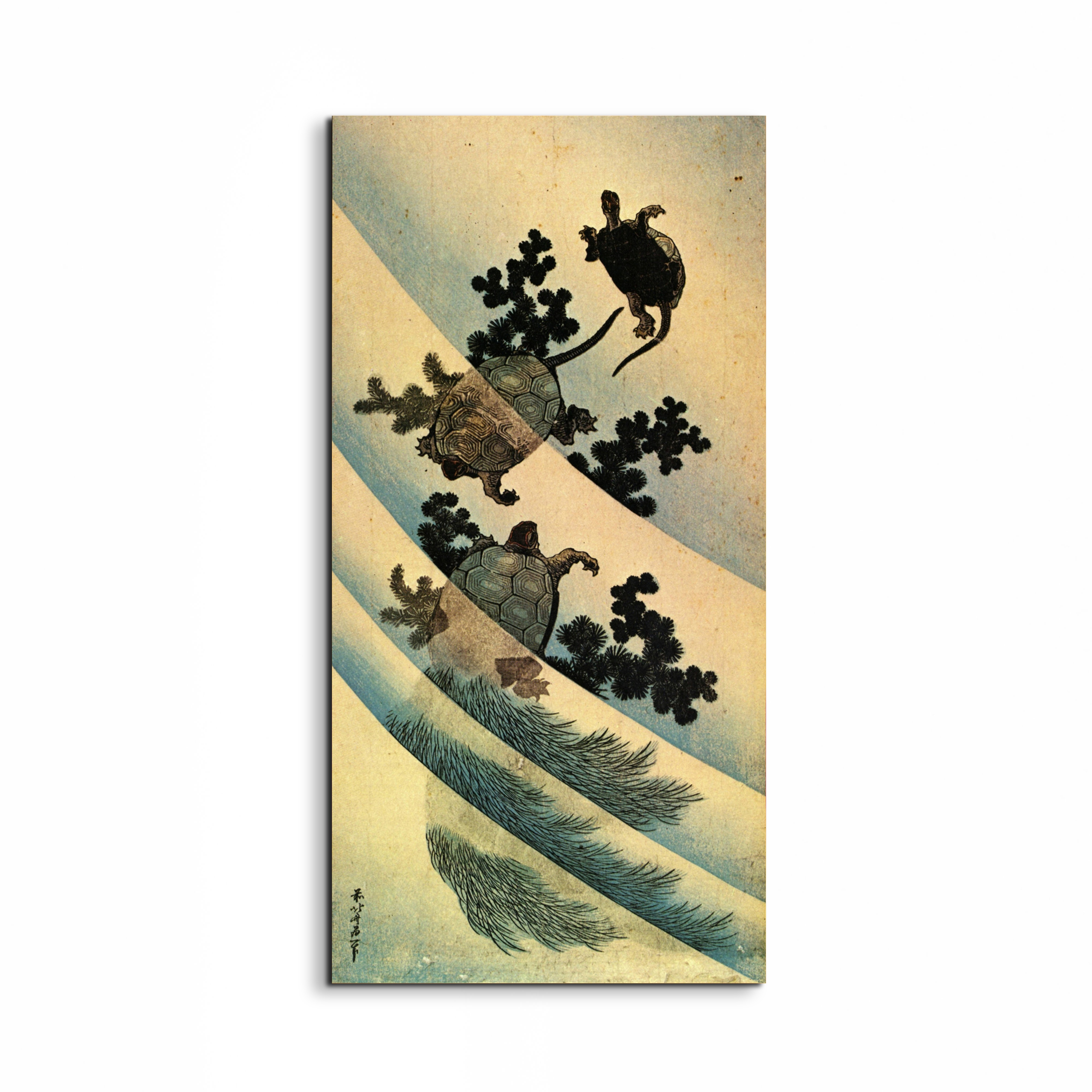 turtlesas90181-#materiale_EarthArt/dimensioni_50x100