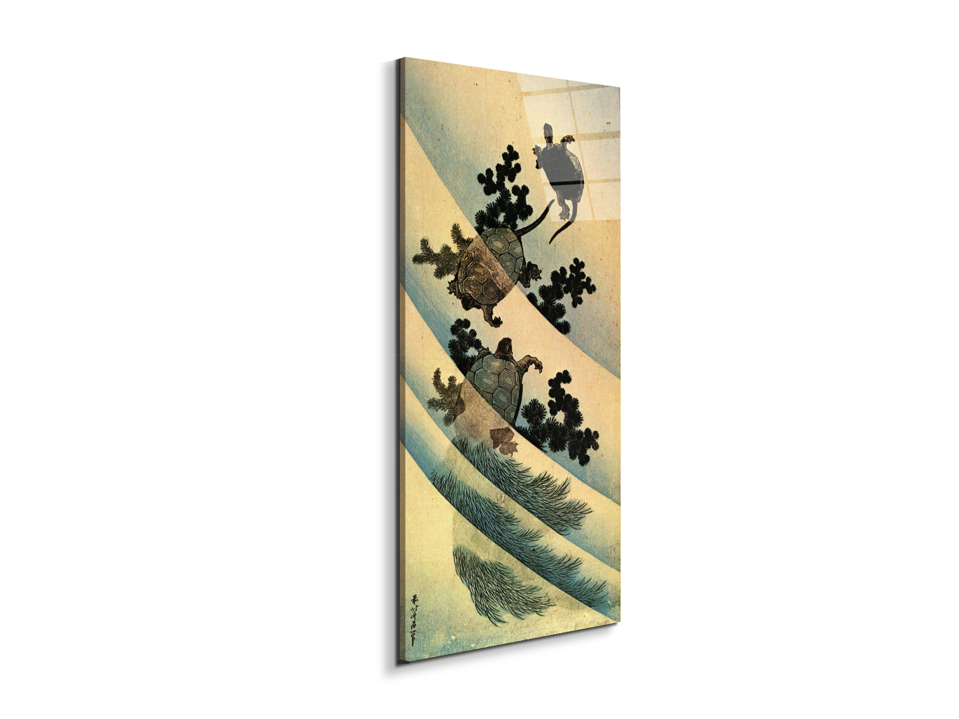 turtlesas90181-