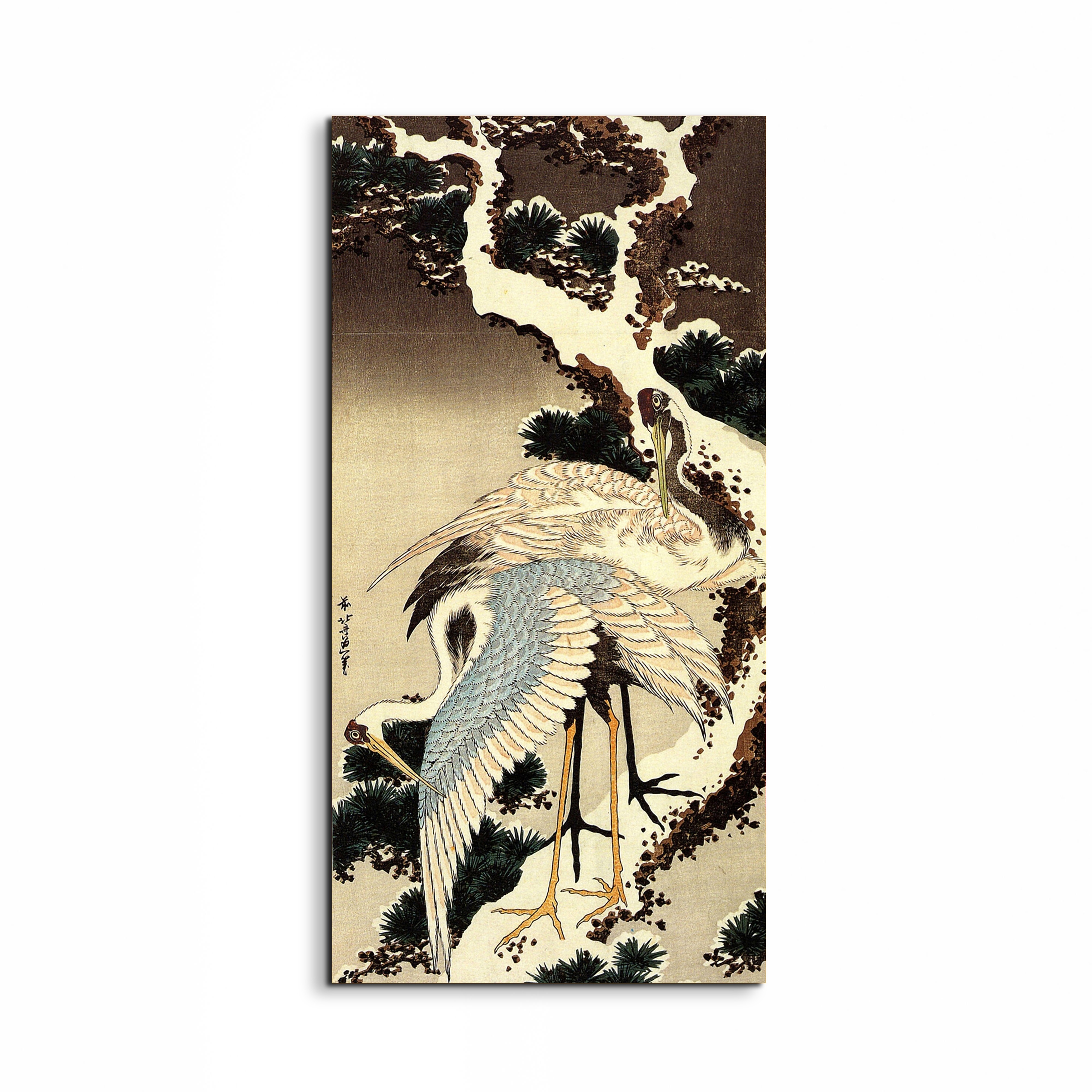 two-cranes-on-a-pine-covered-with-snowas90183-#materiale_EarthArt/dimensioni_50x100