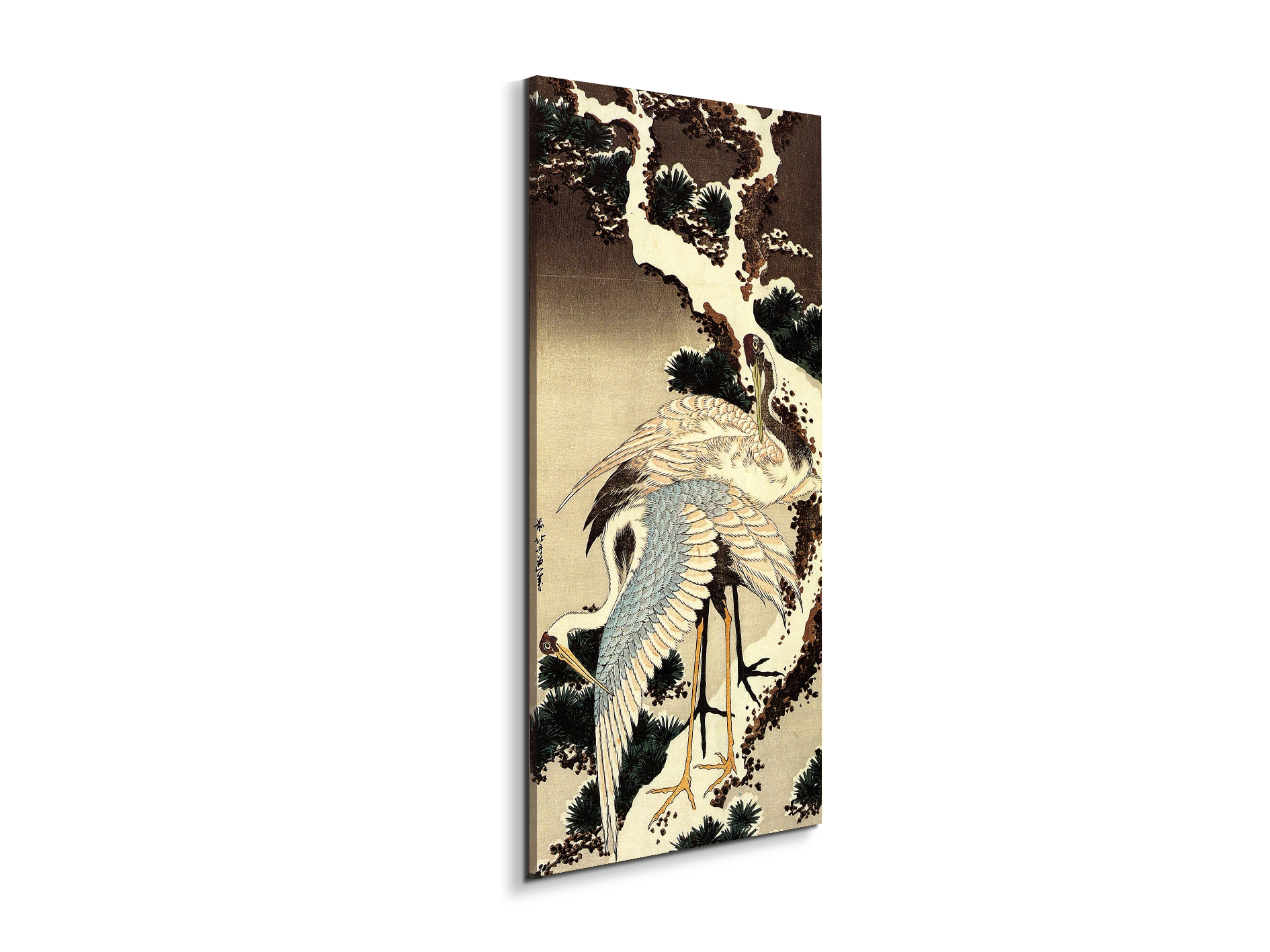 two-cranes-on-a-pine-covered-with-snowas90183-