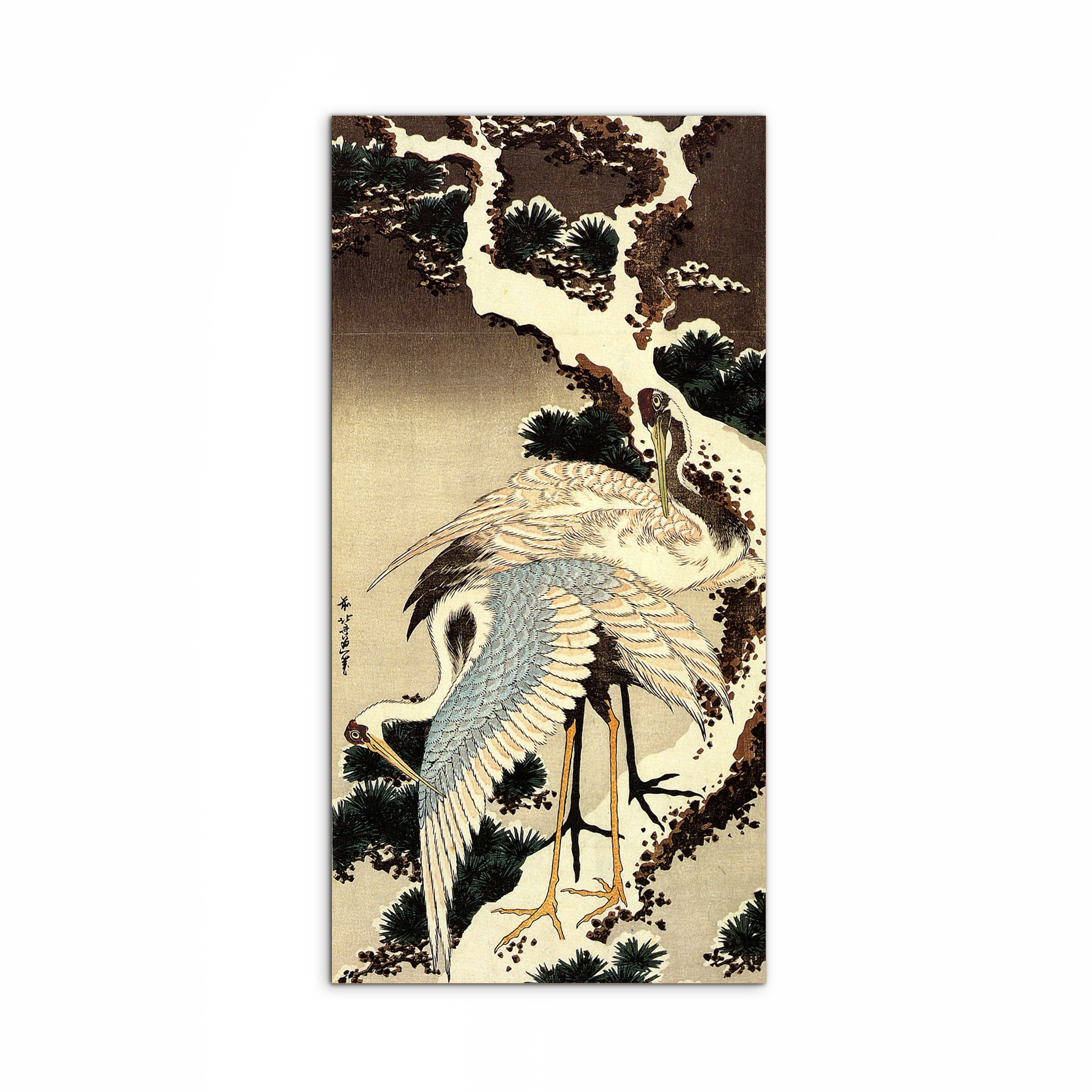 two-cranes-on-a-pine-covered-with-snowas90183-