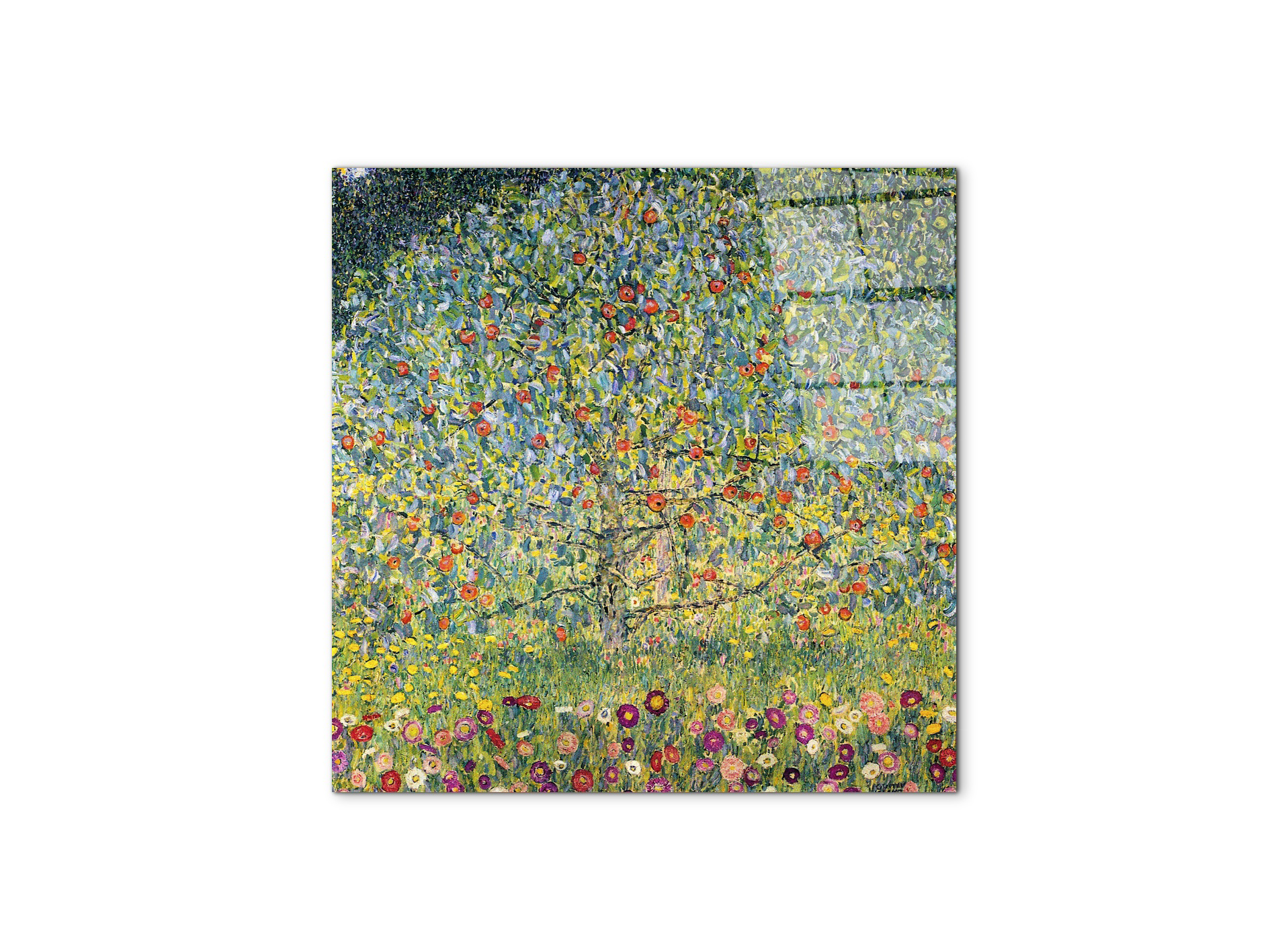 apple-treeas90225-#materiale_CrystalArt/dimensioni_58x58
