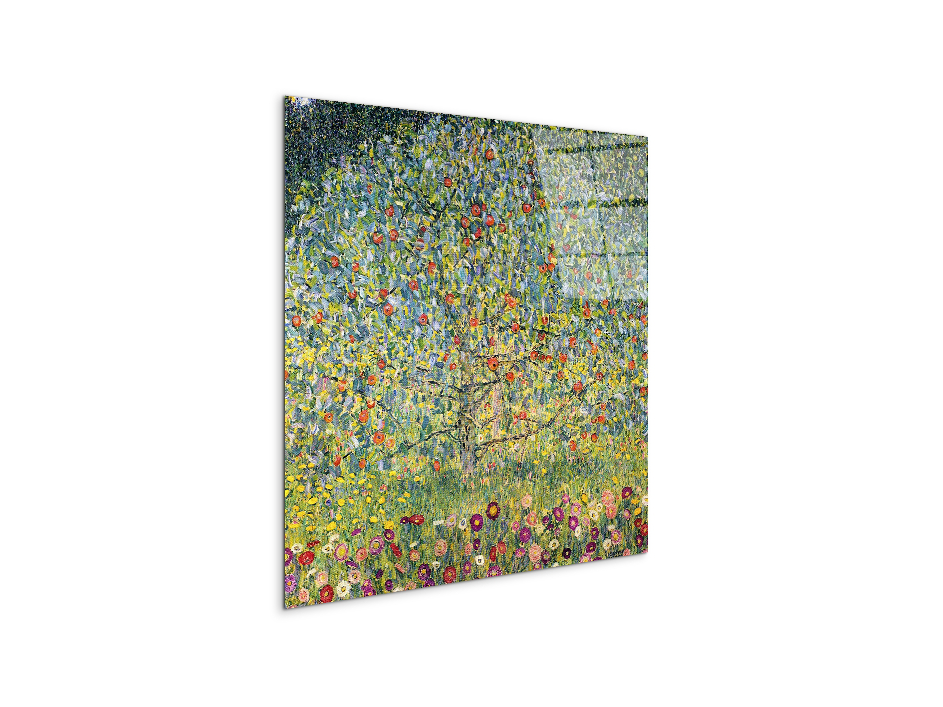 apple-treeas90225-