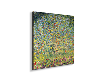 apple-treeas90225-