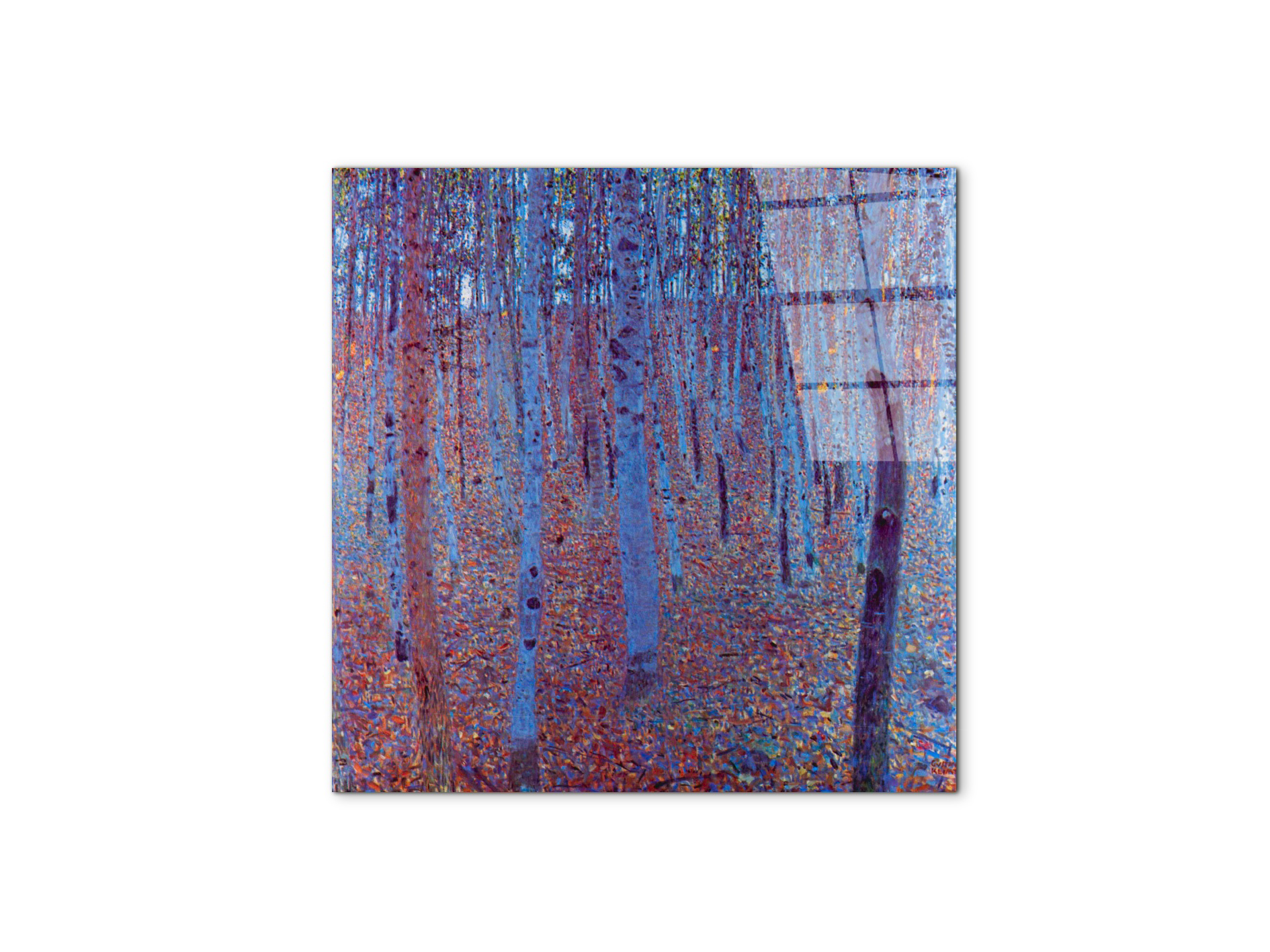 beech-forestas90235-#materiale_CrystalArt/dimensioni_58x58