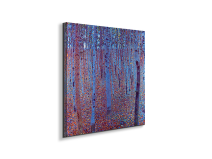 beech-forestas90235-