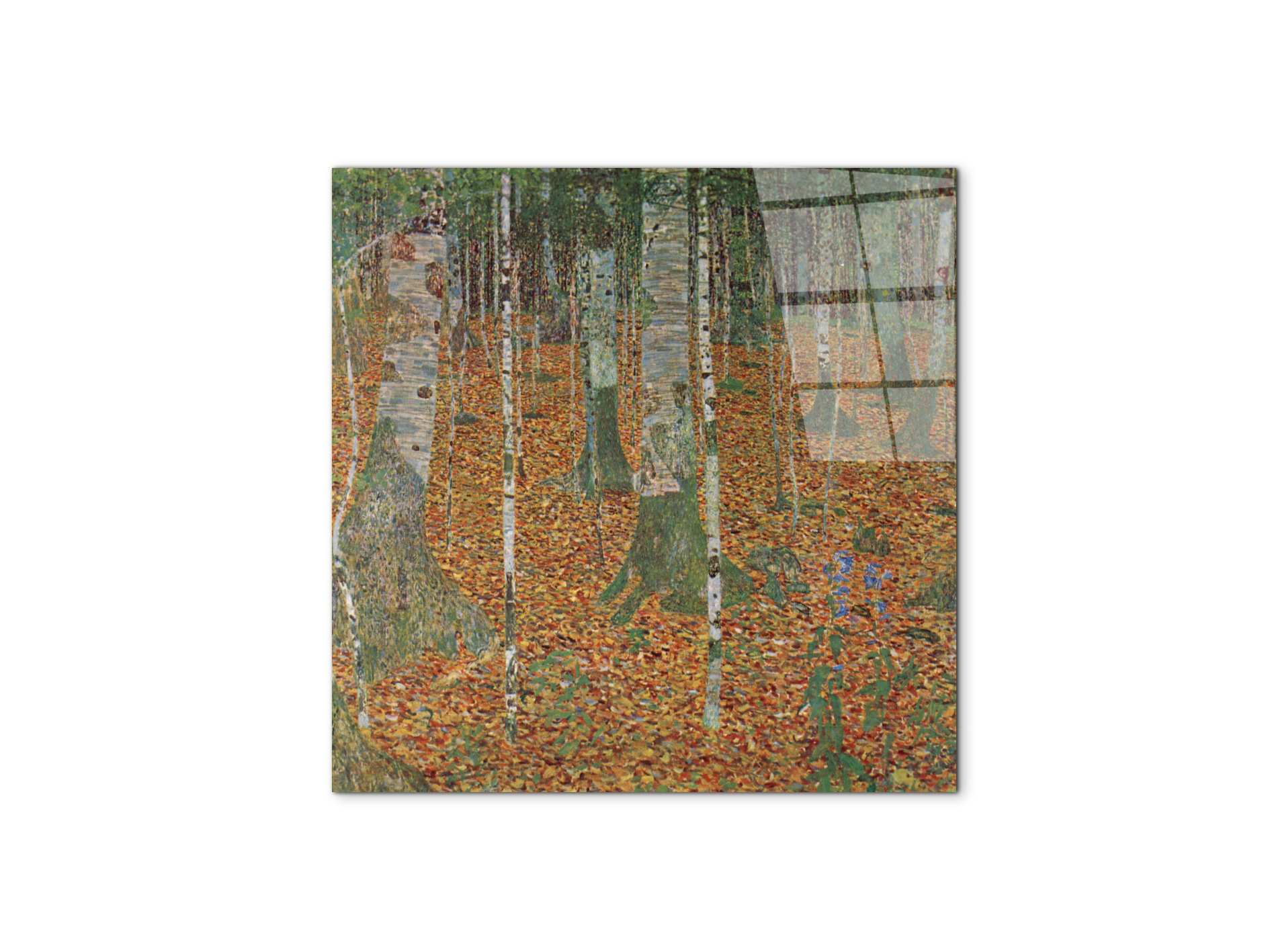 birch-forestas90239-#materiale_CrystalArt/dimensioni_58x58