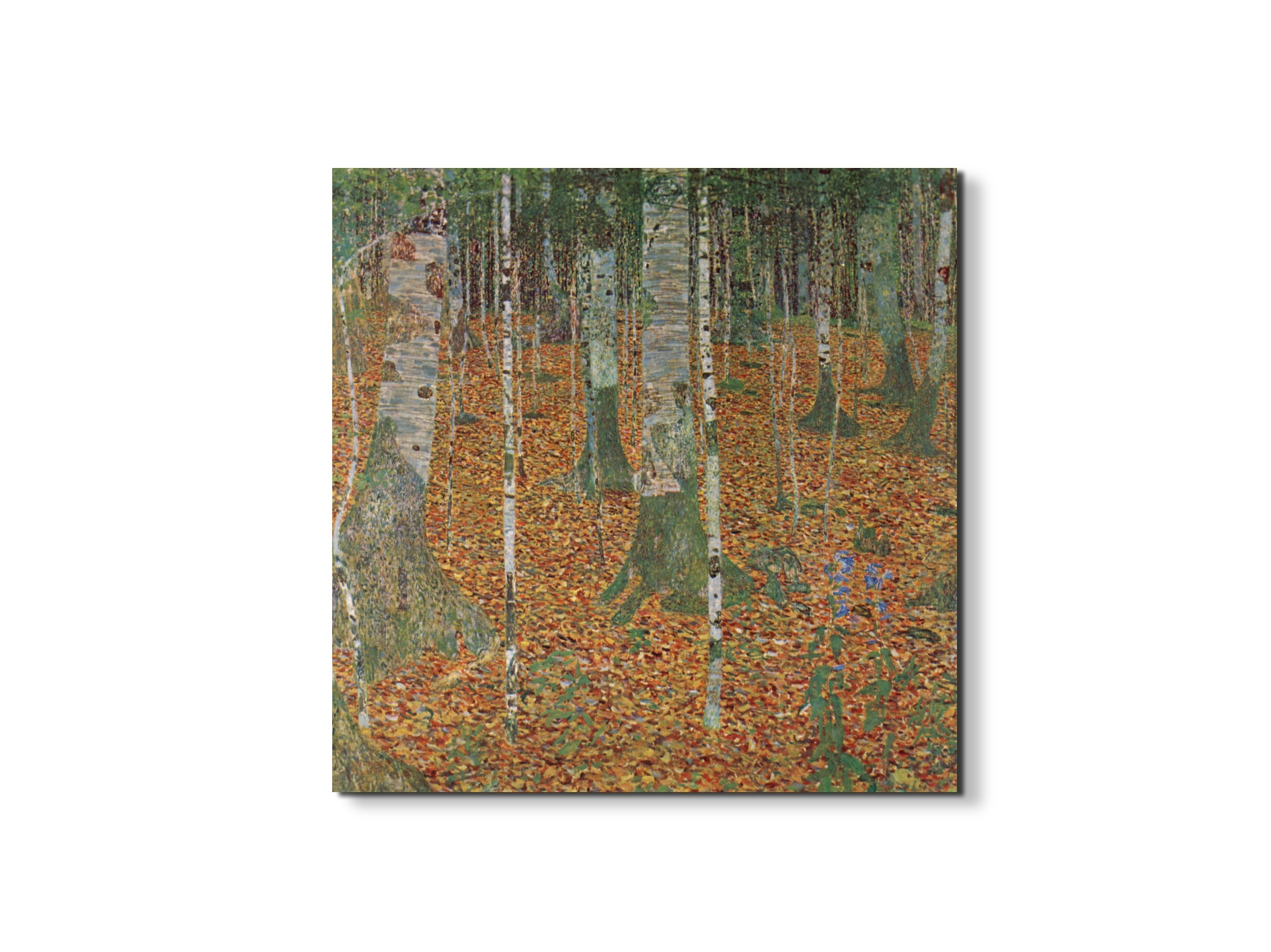 birch-forestas90239-#materiale_EarthArt/dimensioni_58x58