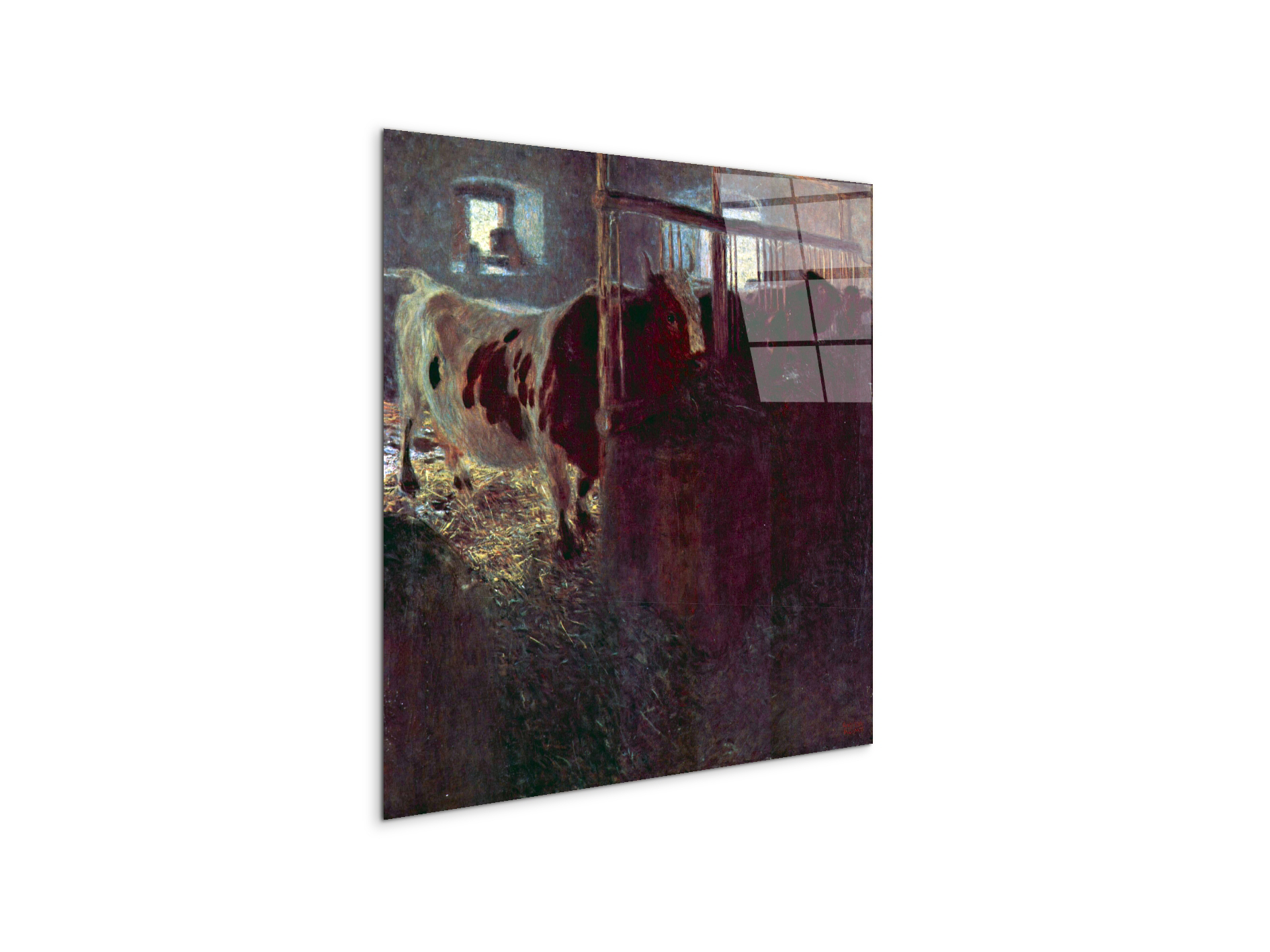 cows-in-stallas90257-