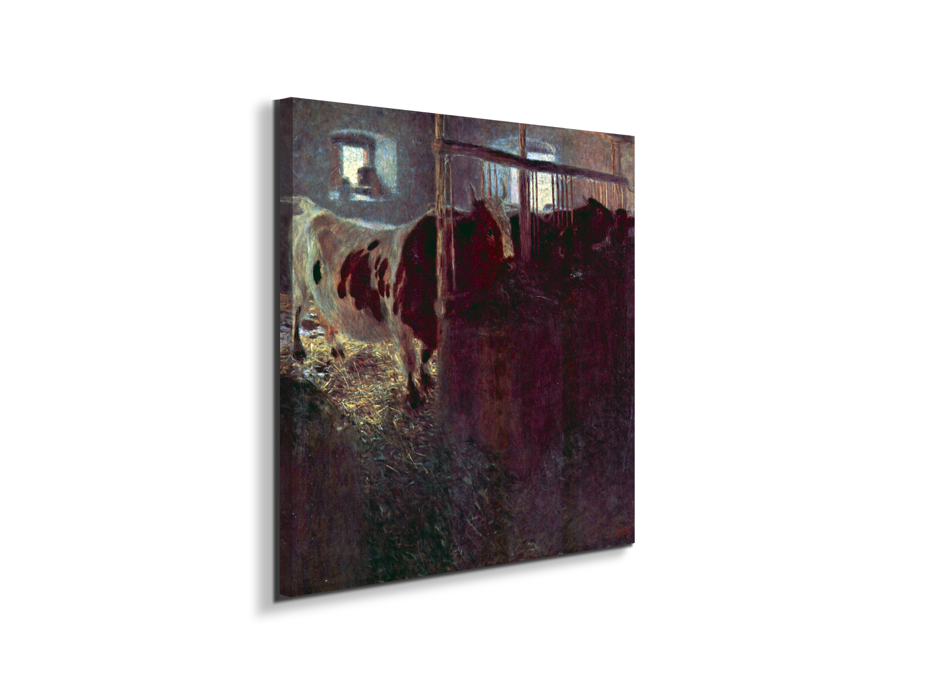 cows-in-stallas90257-
