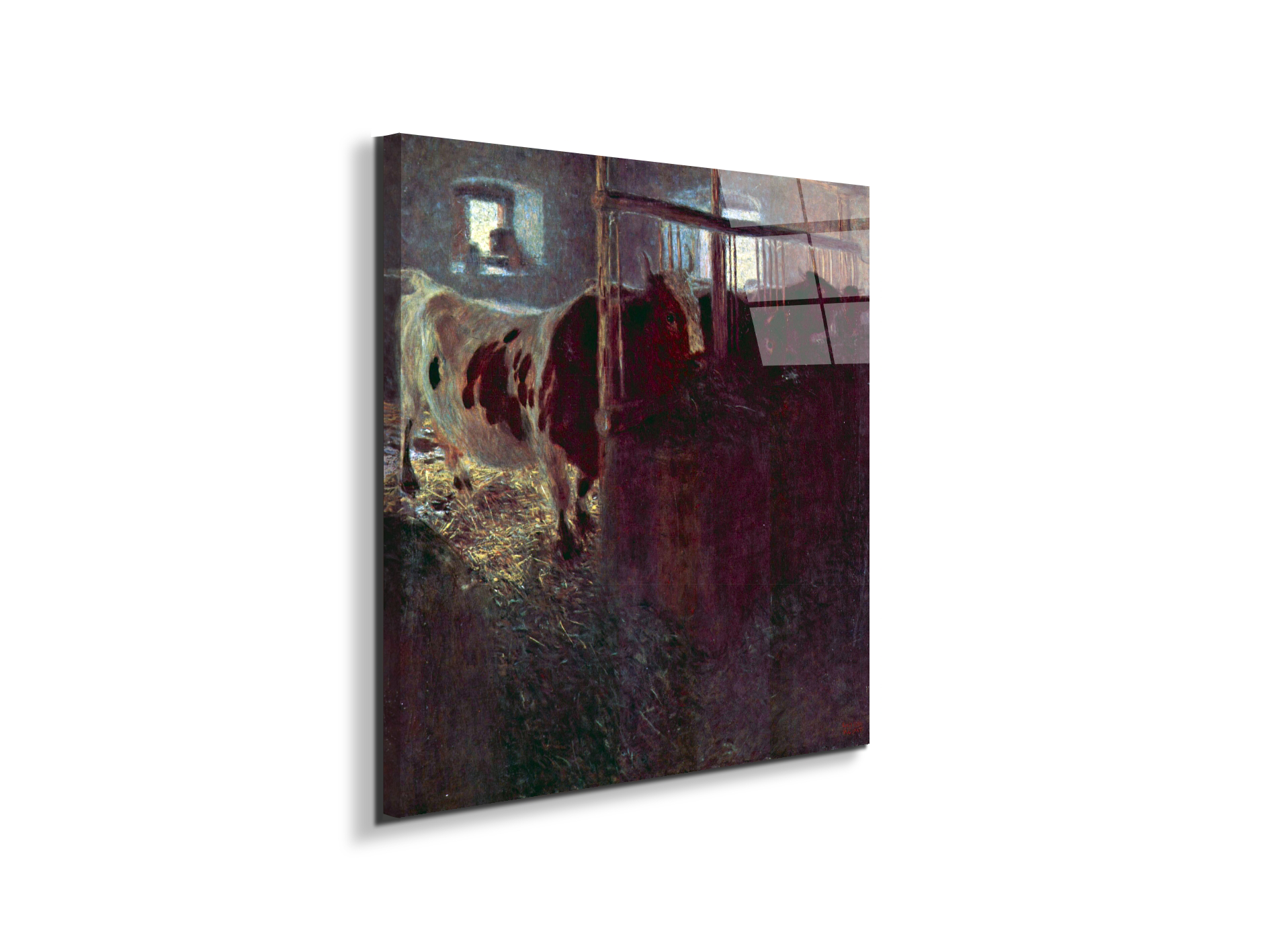 cows-in-stallas90257-