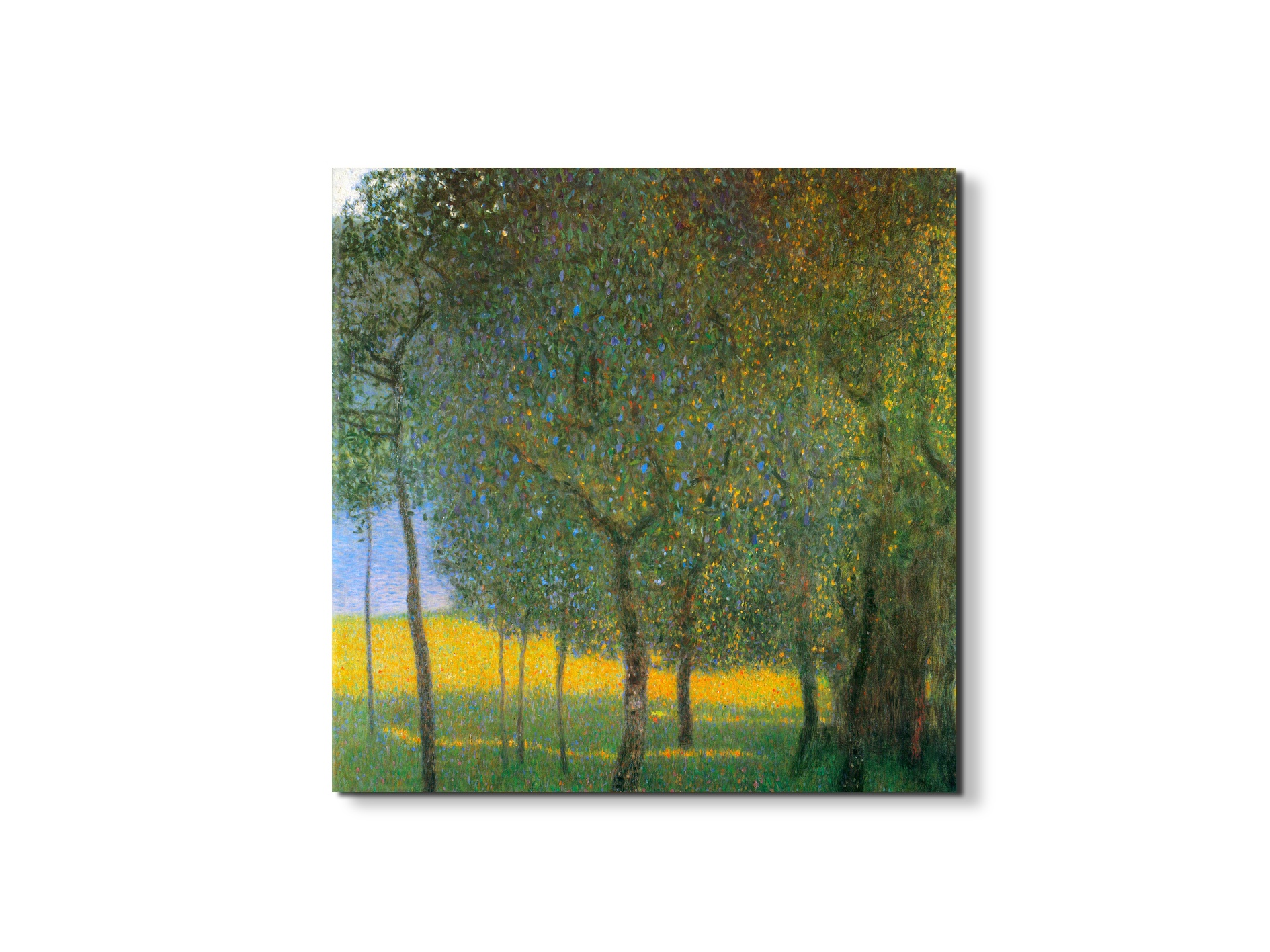 fruit-treesas90311-#materiale_EarthArt/dimensioni_58x58