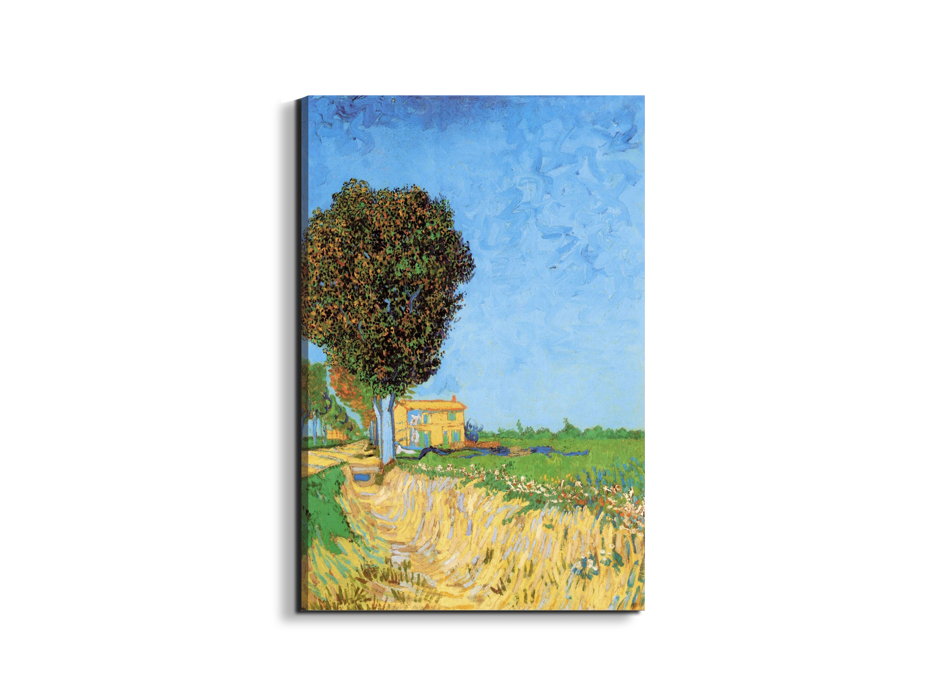 #materiale_EarthArt/dimensioni_53x79,5