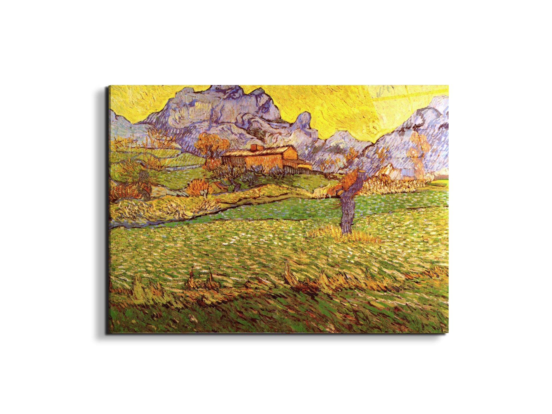 a-meadow-in-the-mountains-le-mas-de-saint-paulas90539-#materiale_EarthArt Total Gloss/dimensioni_76x57