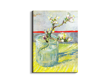 almond-blossom-branchas90547-