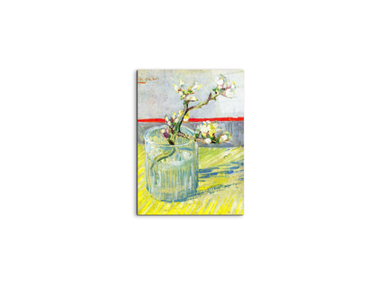 almond-blossom-branchas90547-