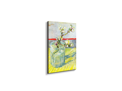 almond-blossom-branchas90547-