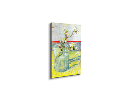 almond-blossom-branchas90547-