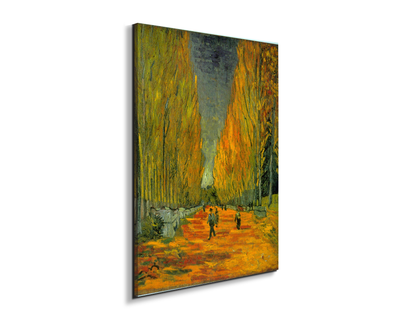 alyscampsas90549-#materiale_EarthArt/dimensioni_57x76