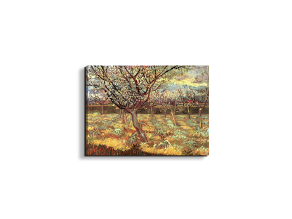 apricot-trees-in-blossom-iias90557-#materiale_EarthArt/dimensioni_50x37,50