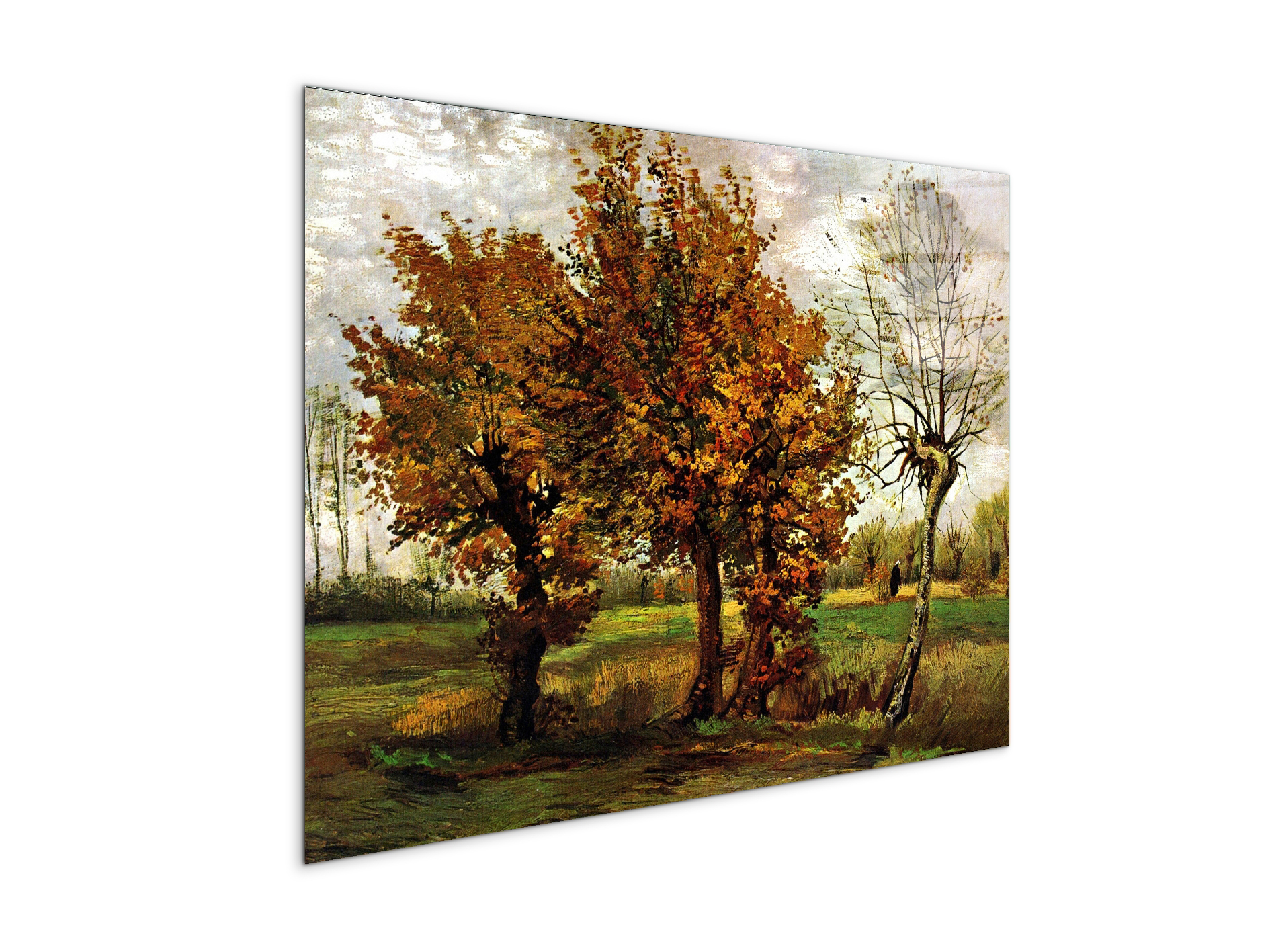 autumn-landscape-with-four-treesas90571-#materiale_CrystalArt/dimensioni_76x57