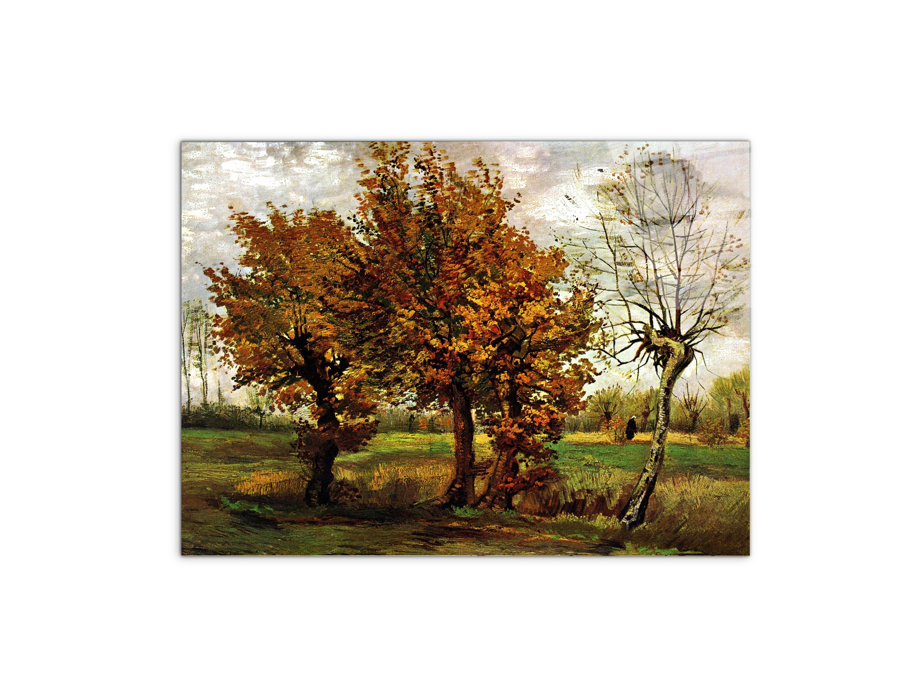 autumn-landscape-with-four-treesas90571-#materiale_CrystalArt/dimensioni_76x57