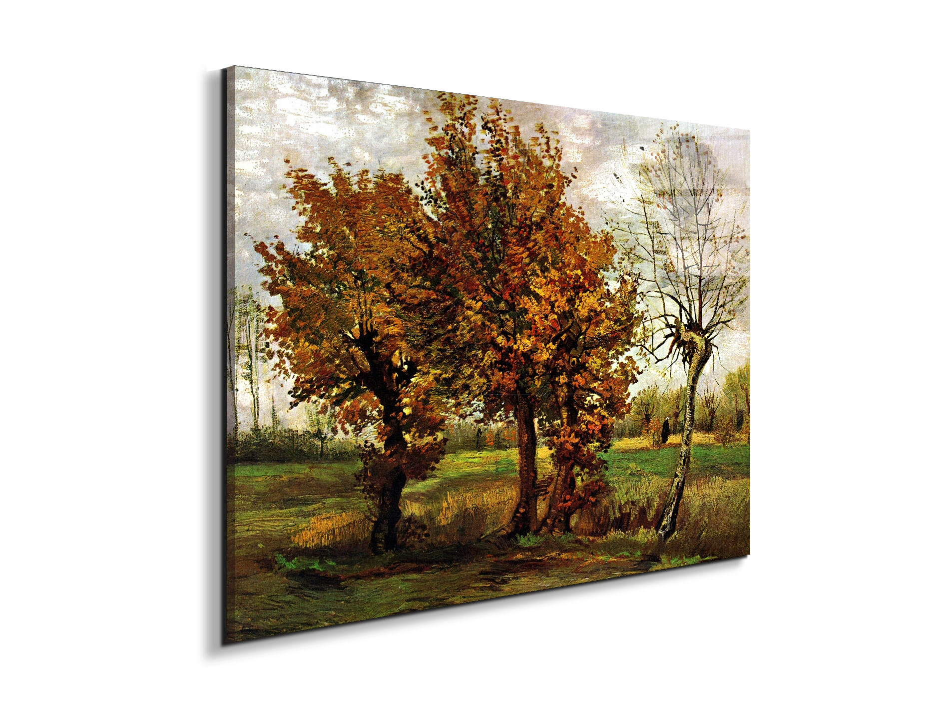 autumn-landscape-with-four-treesas90571-#materiale_EarthArt Total Gloss/dimensioni_76x57