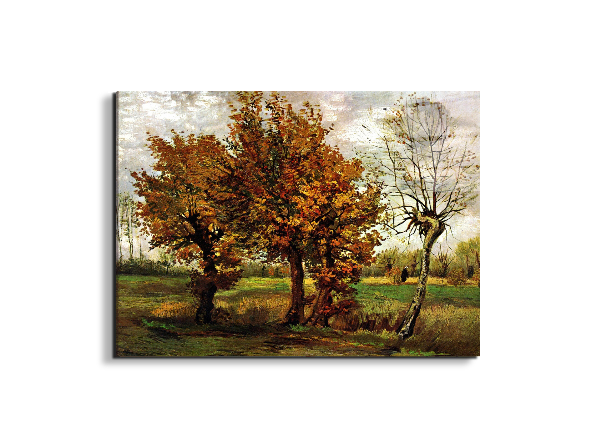 autumn-landscape-with-four-treesas90571-#materiale_EarthArt Total Gloss/dimensioni_76x57