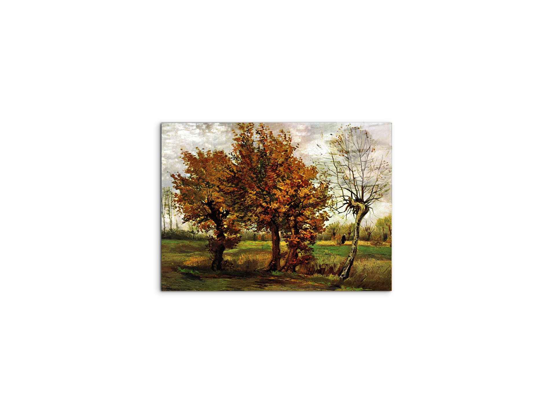 autumn-landscape-with-four-treesas90571-#materiale_CrystalArt/dimensioni_50x37,50